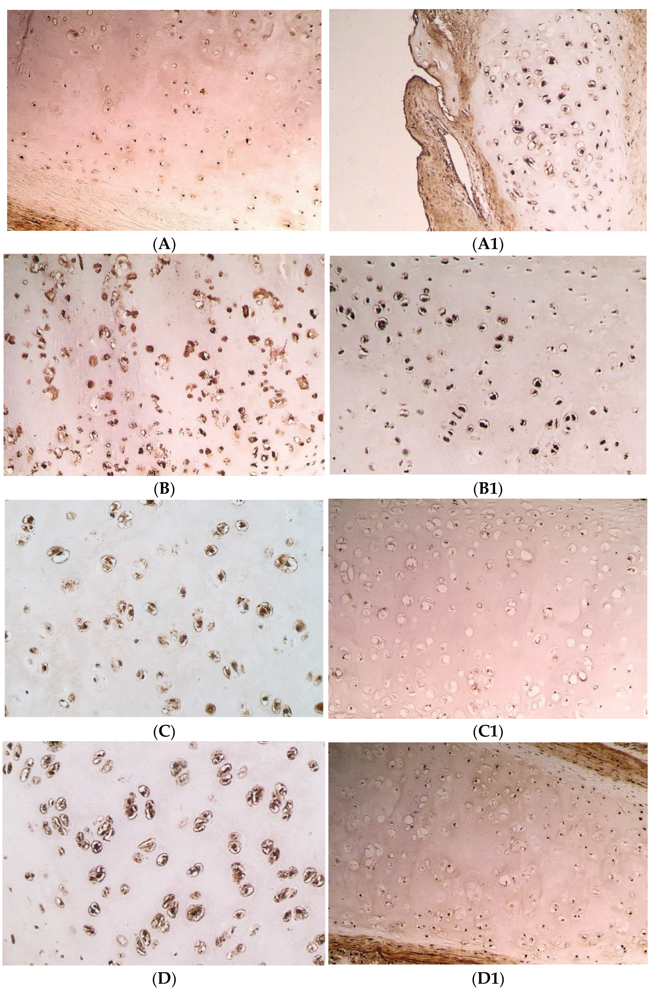 Pediatrrep 14 00050 g001 Pediatrrep 14 00050 g001