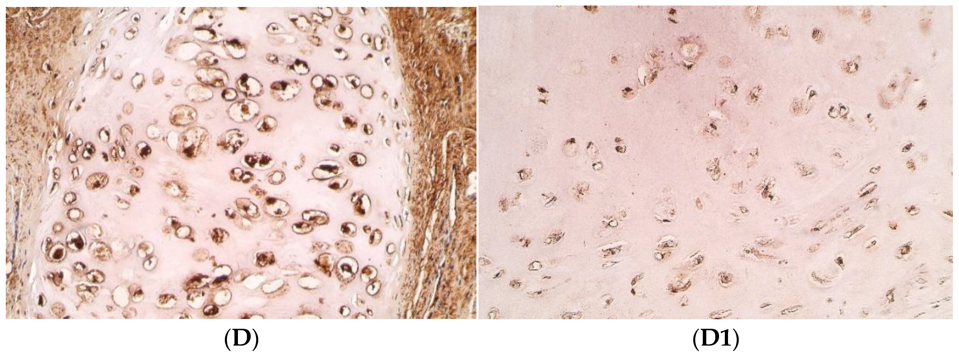 Pediatrrep 14 00050 g002b Pediatrrep 14 00050 g002b