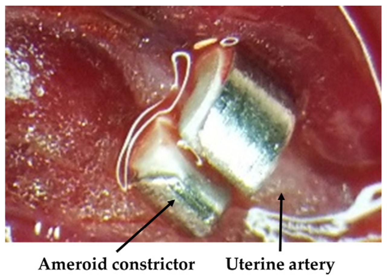 Pediatrrep 15 00006 g001 Pediatrrep 15 00006 g001