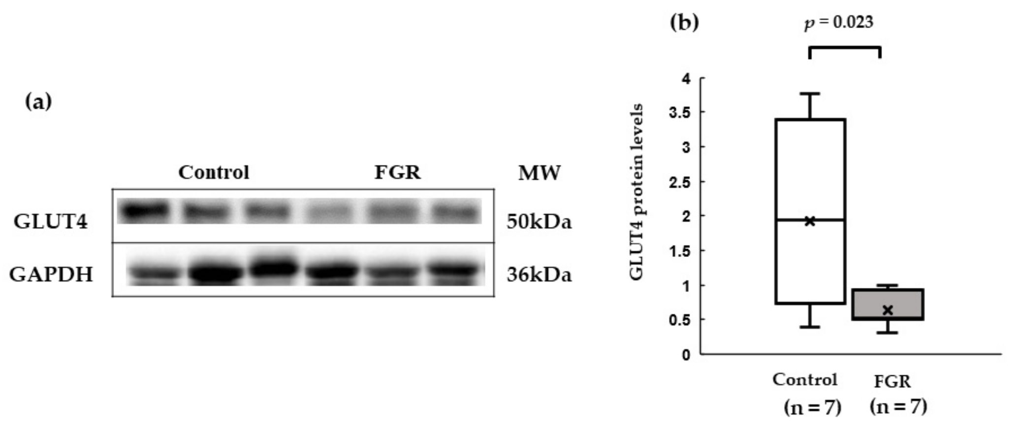 Pediatrrep 15 00006 g004 Pediatrrep 15 00006 g004