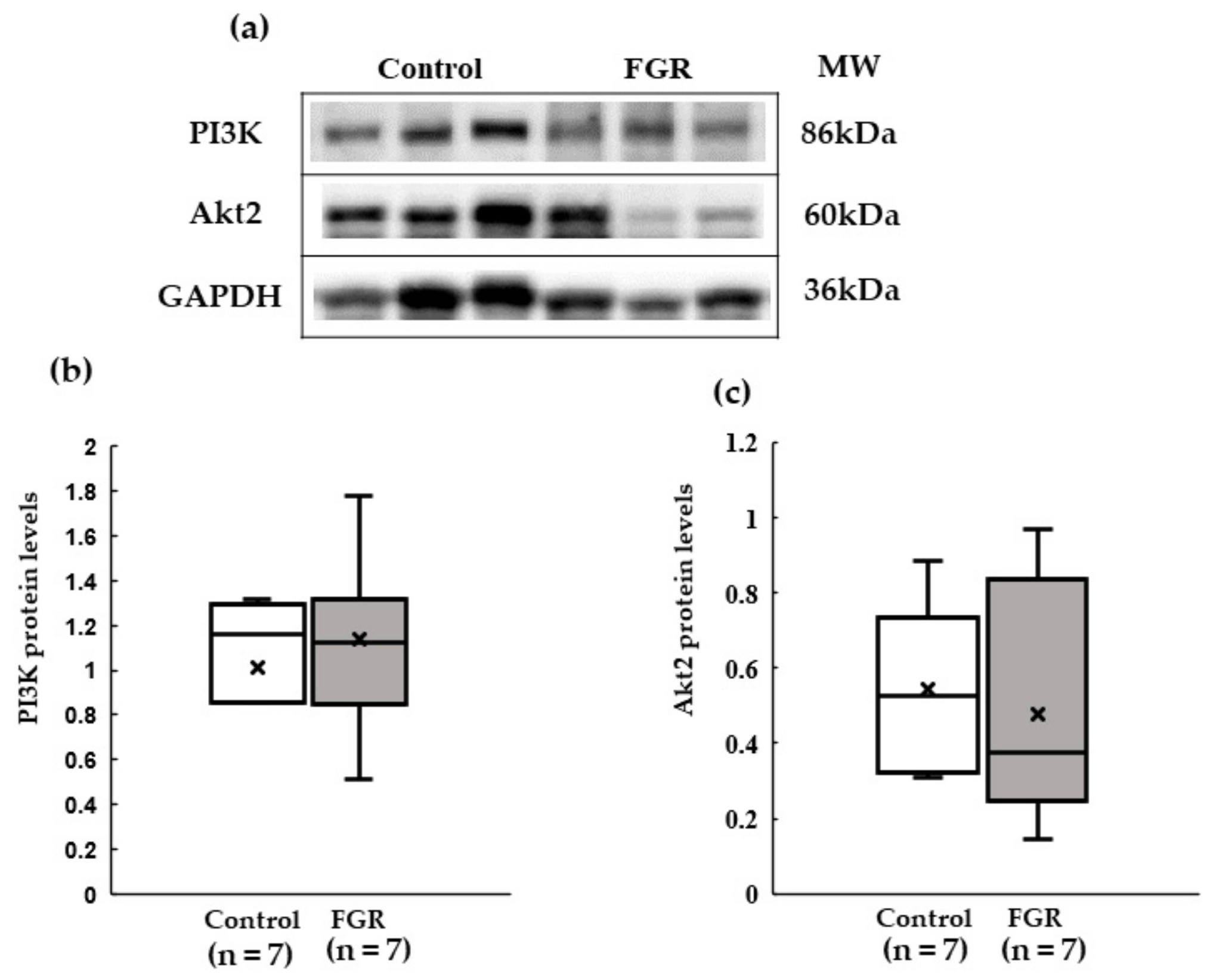Pediatrrep 15 00006 g005 Pediatrrep 15 00006 g005