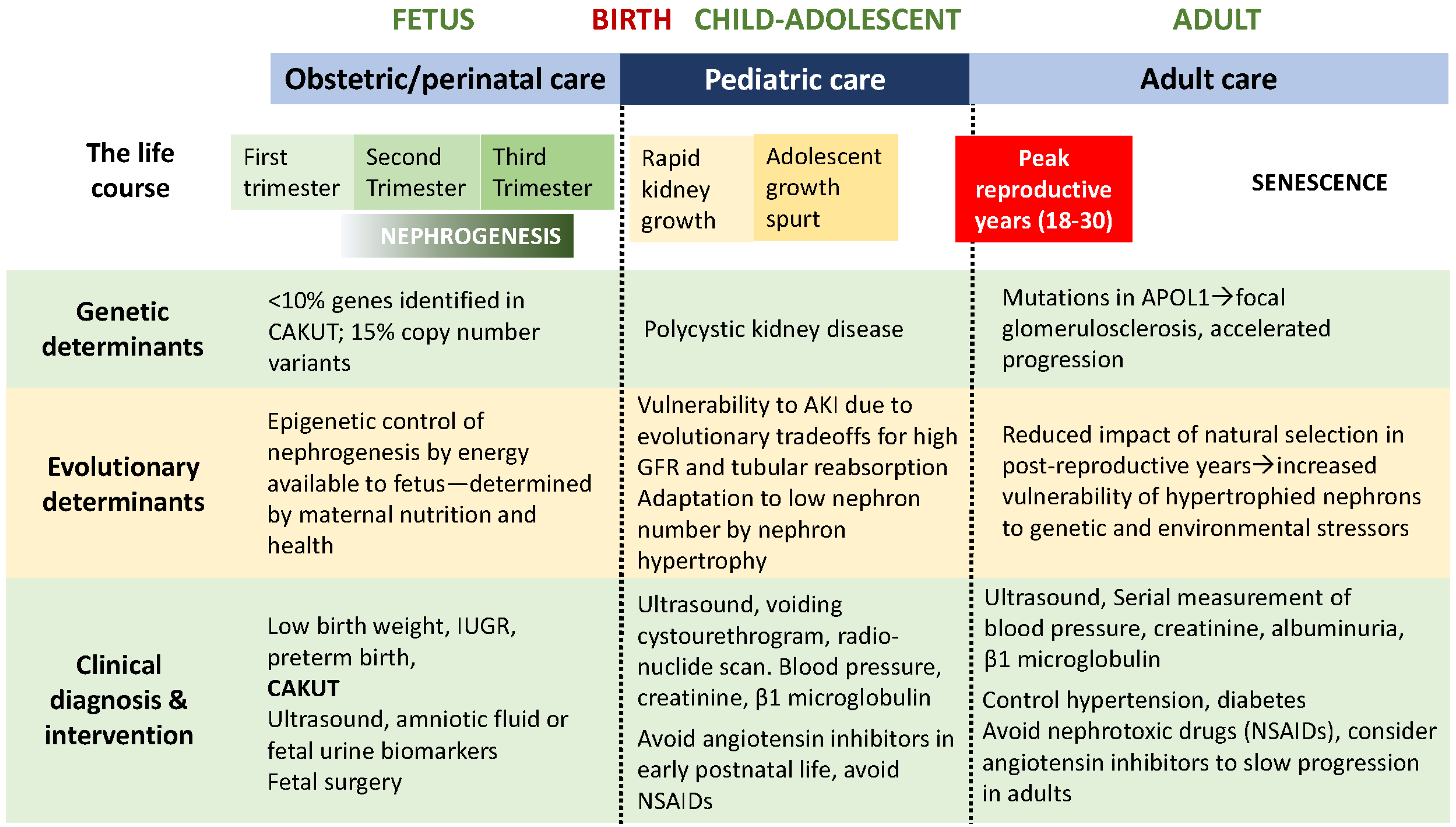 Pediatrrep 15 00012 g002 Pediatrrep 15 00012 g002