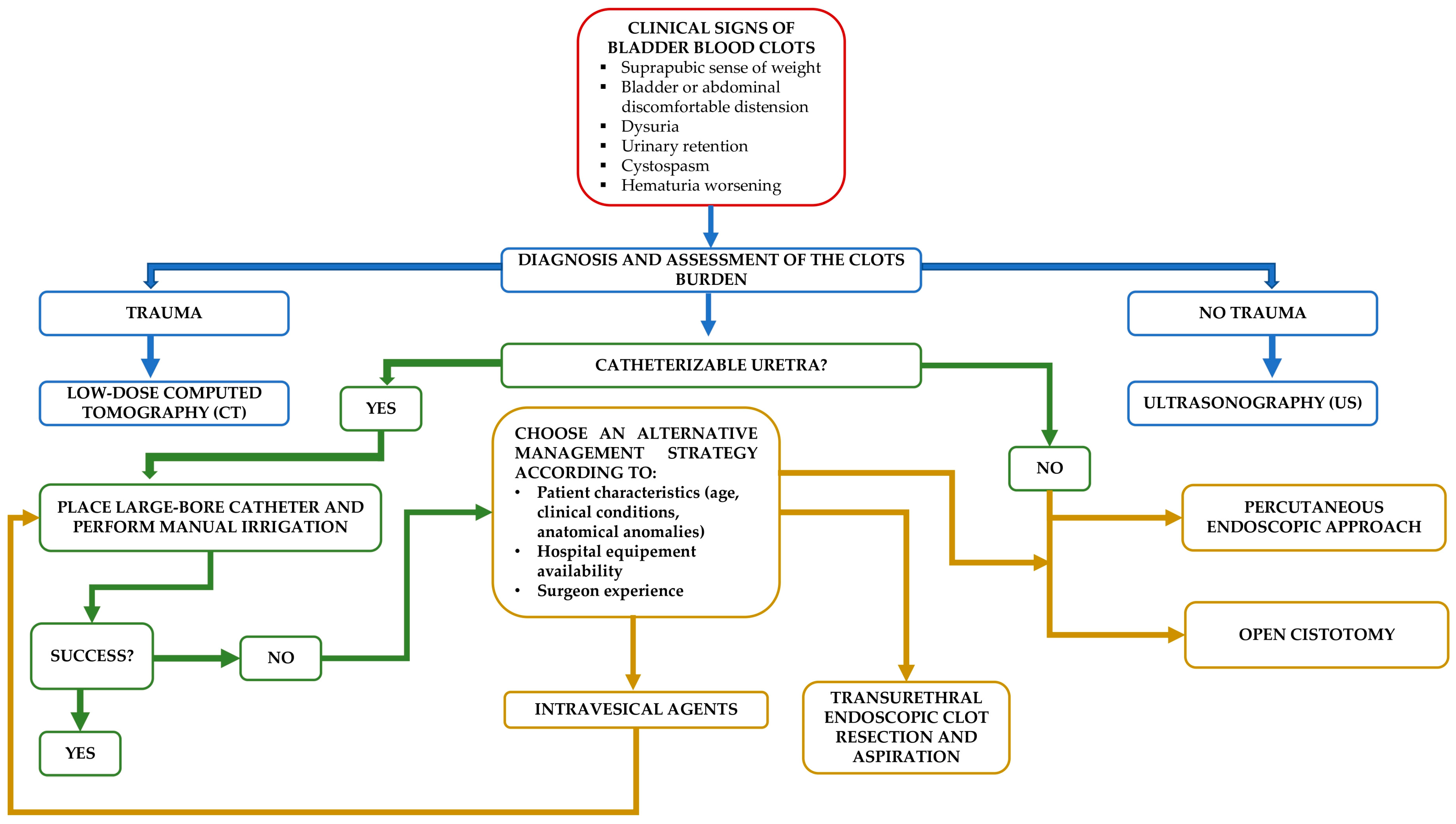 Pediatrrep 15 00024 g001