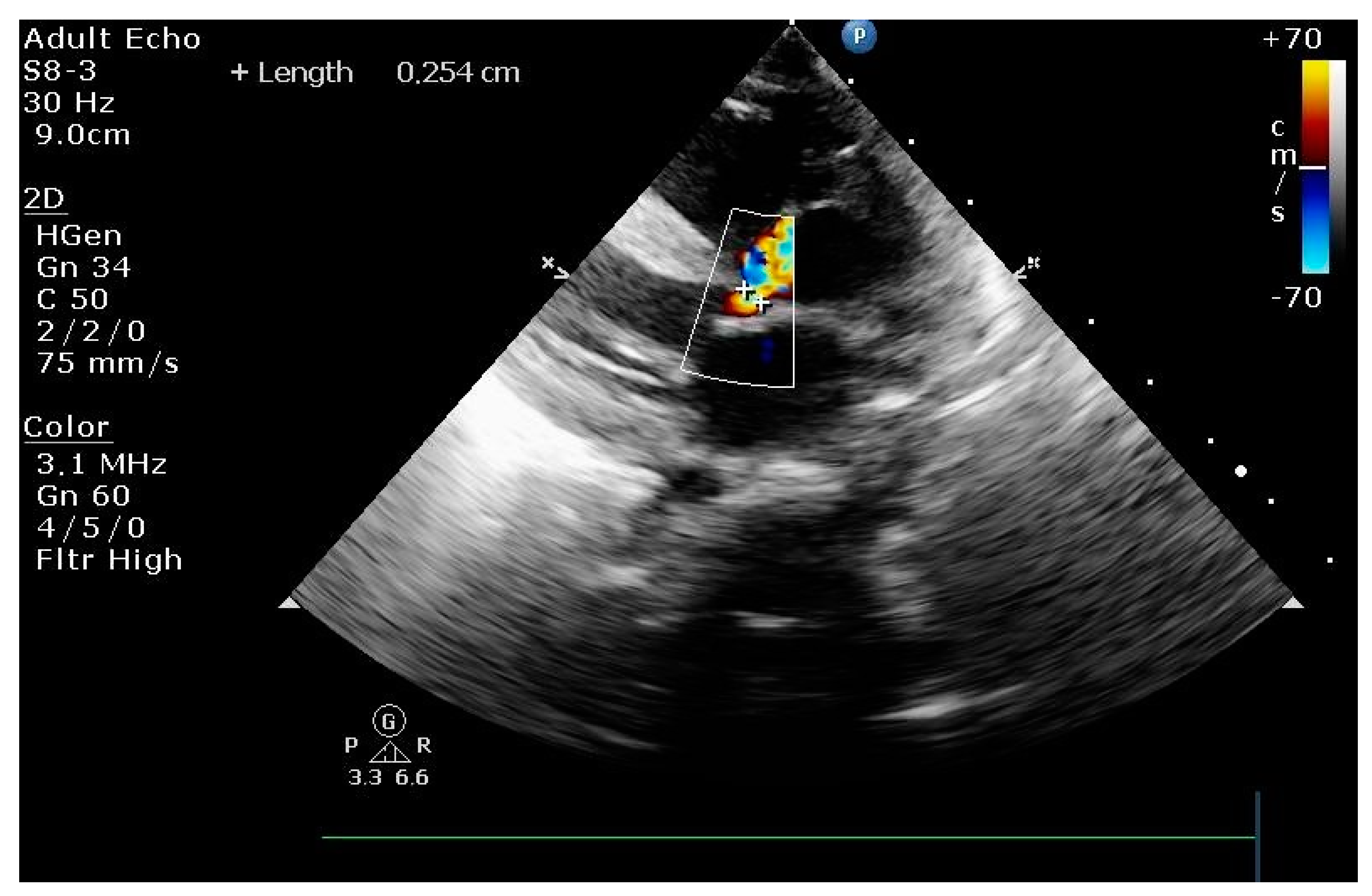 Pediatrrep 15 00028 g001