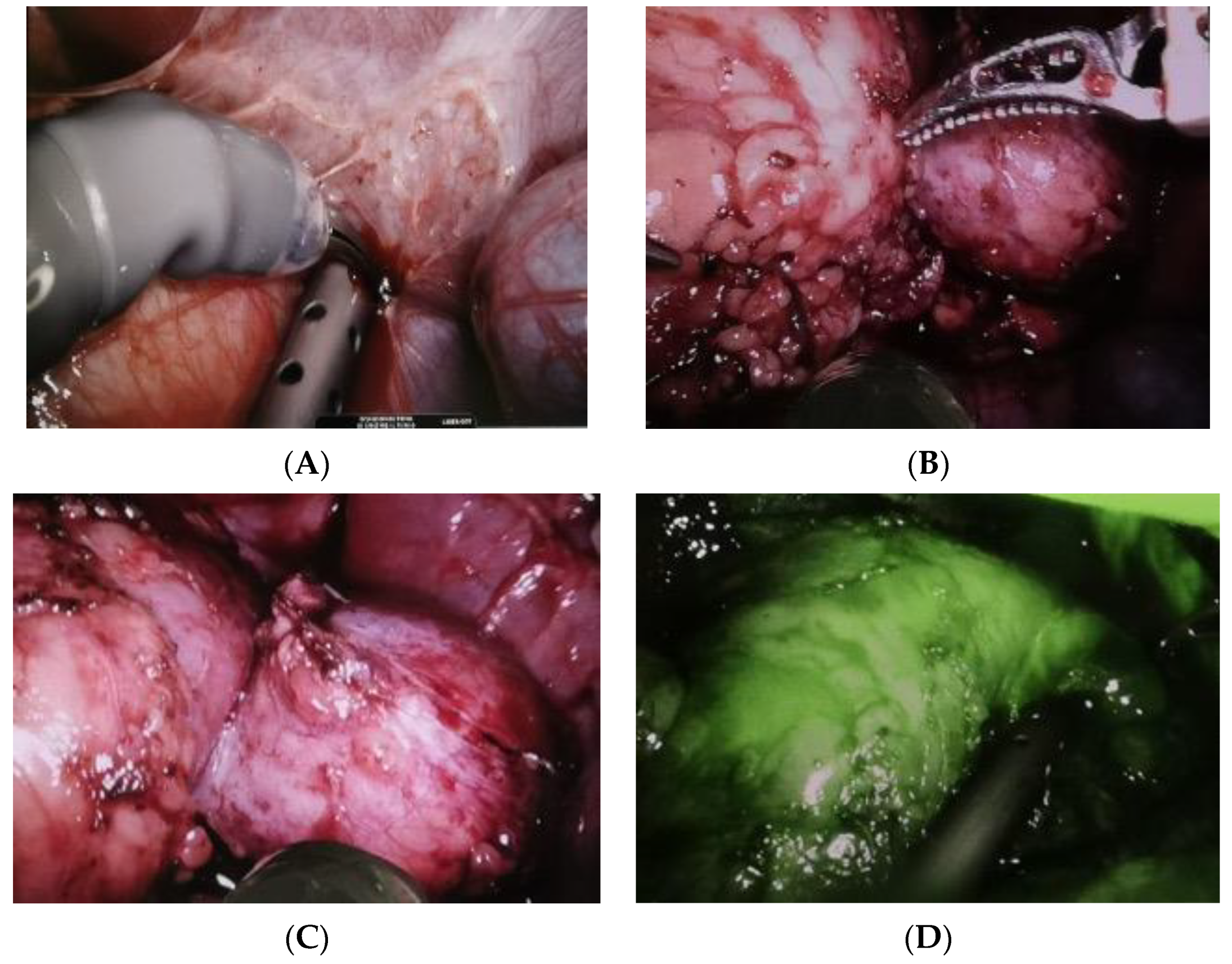 Pediatrrep 15 00051 g006