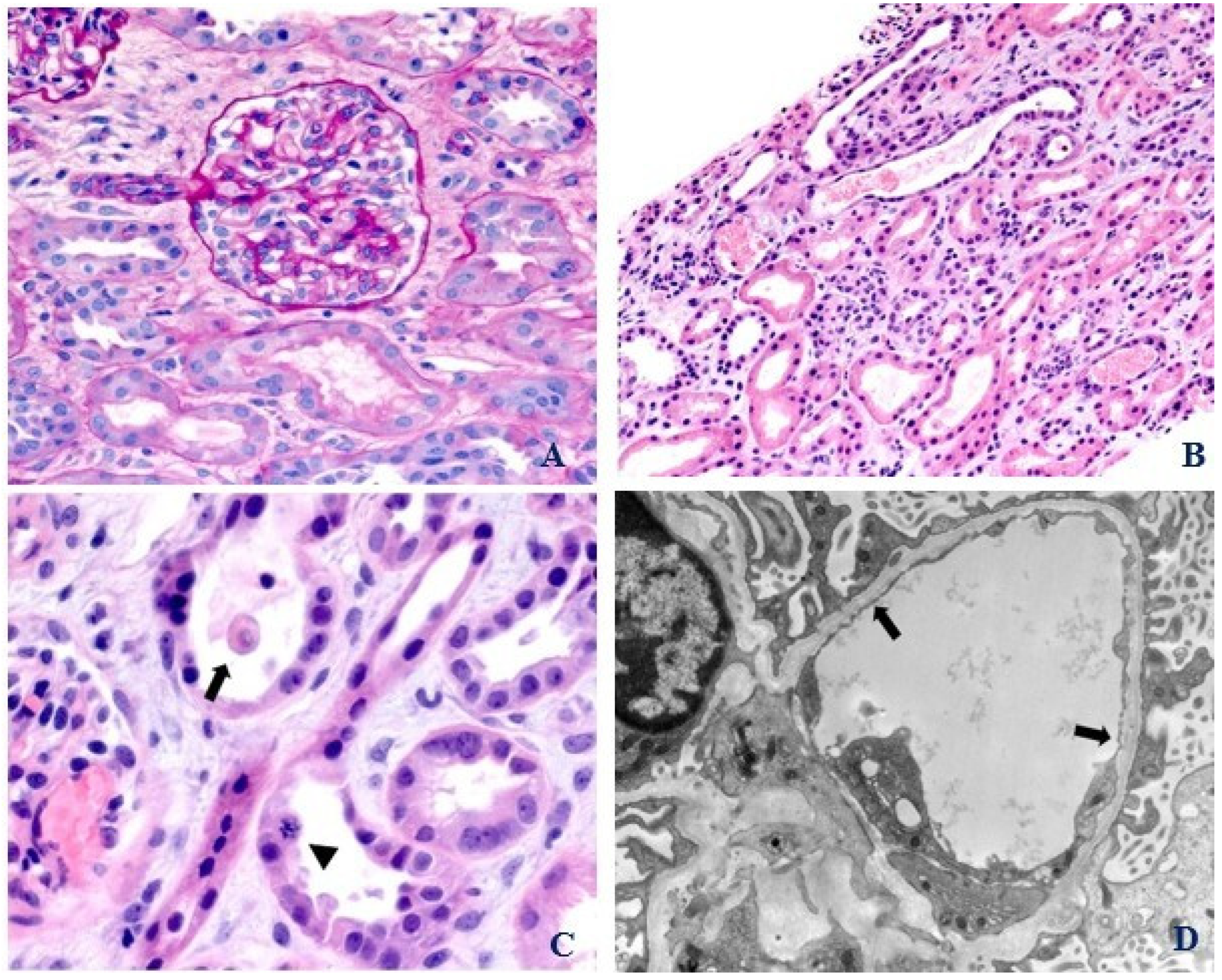 Pediatrrep 16 00003 g001