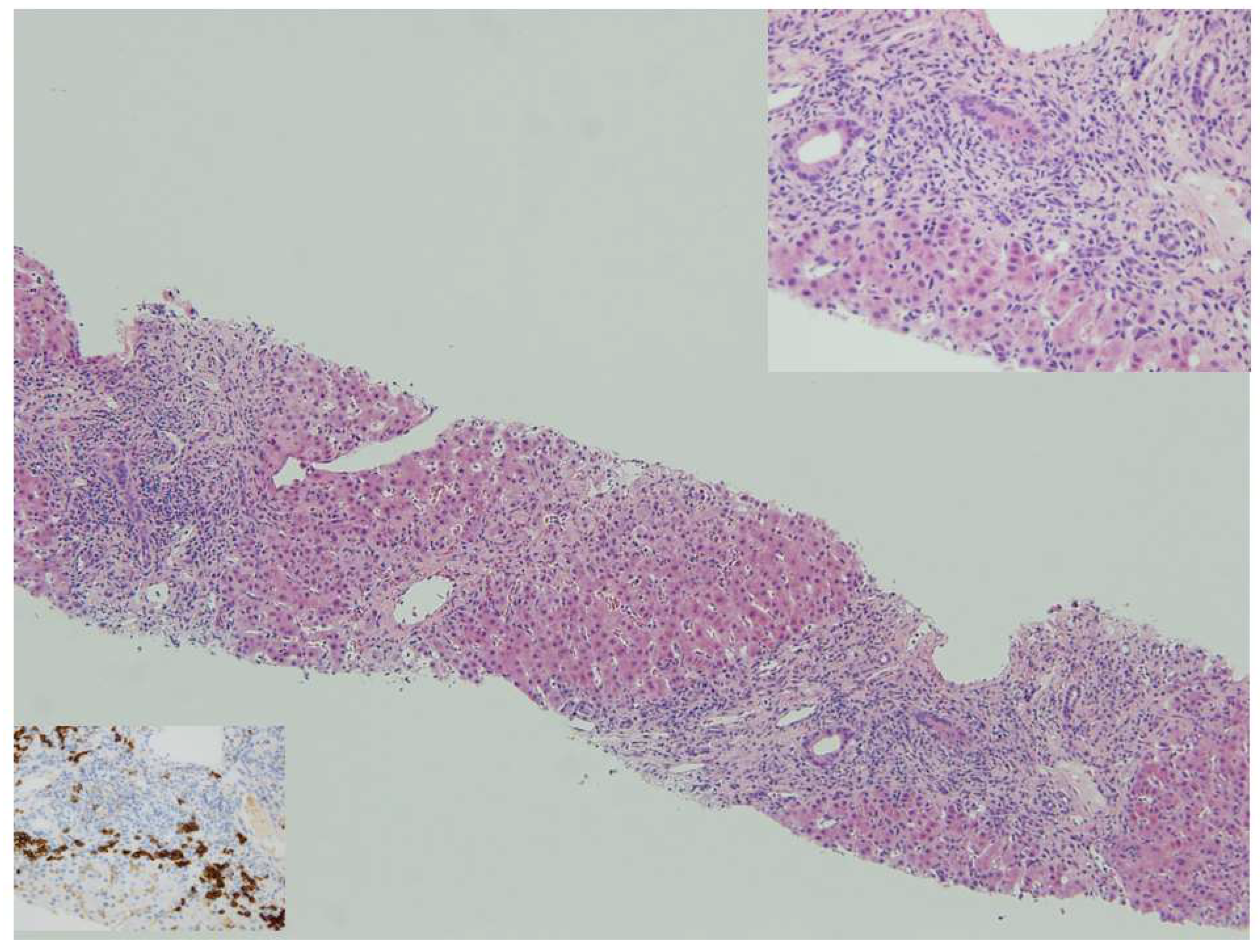 Pediatrrep 16 00011 g001