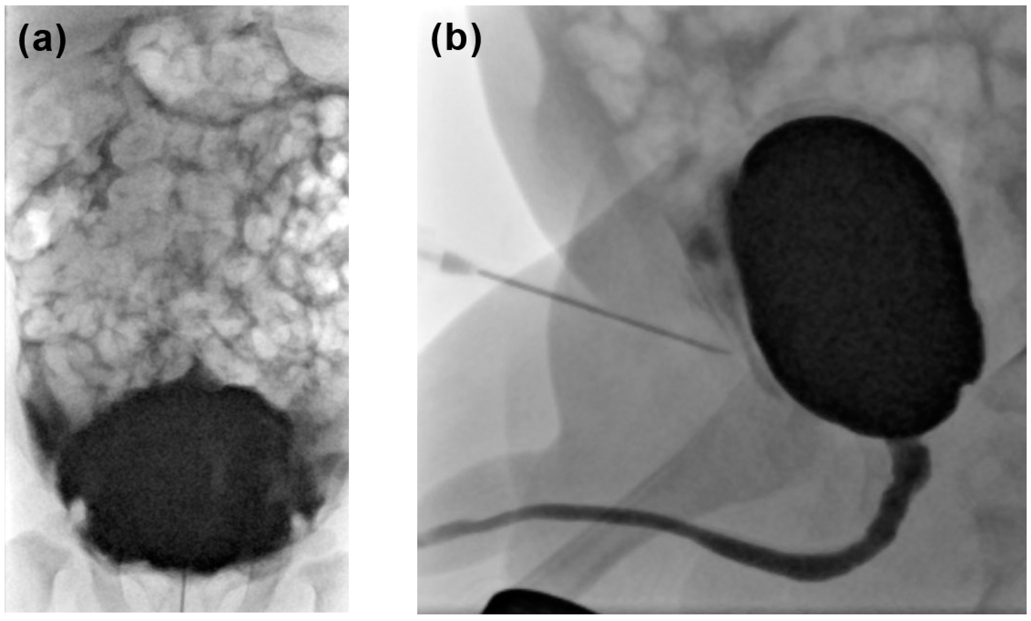 Pediatrrep 16 00017 g003