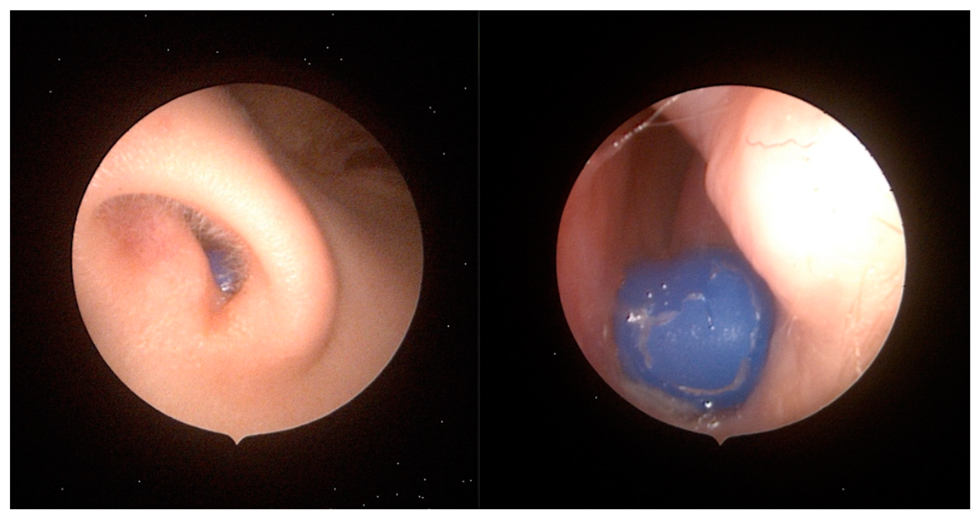 Pediatrrep 16 00042 g003