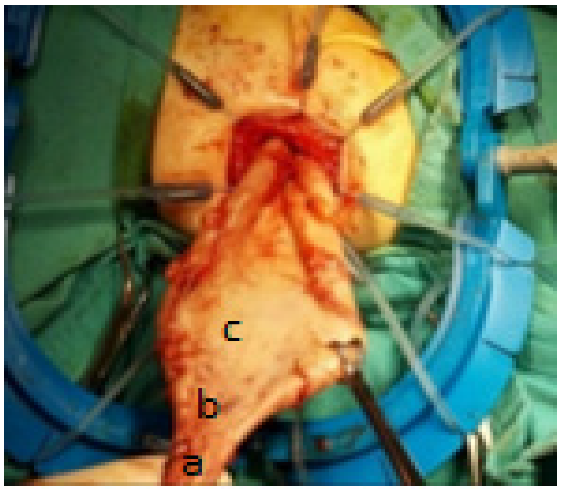 Pediatrrep 16 00045 g001 Pediatrrep 16 00045 g001