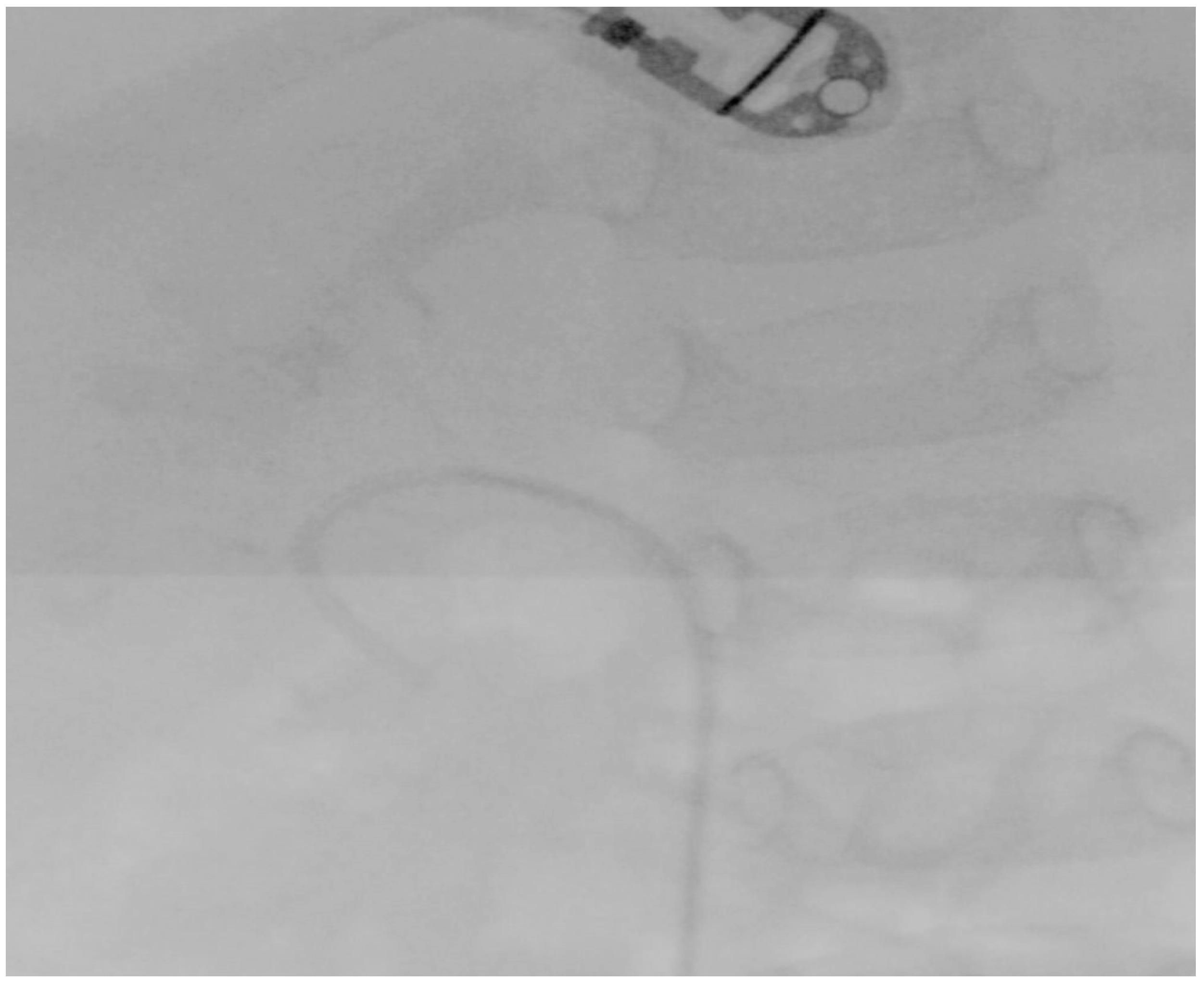 Pediatrrep 16 00068 g005