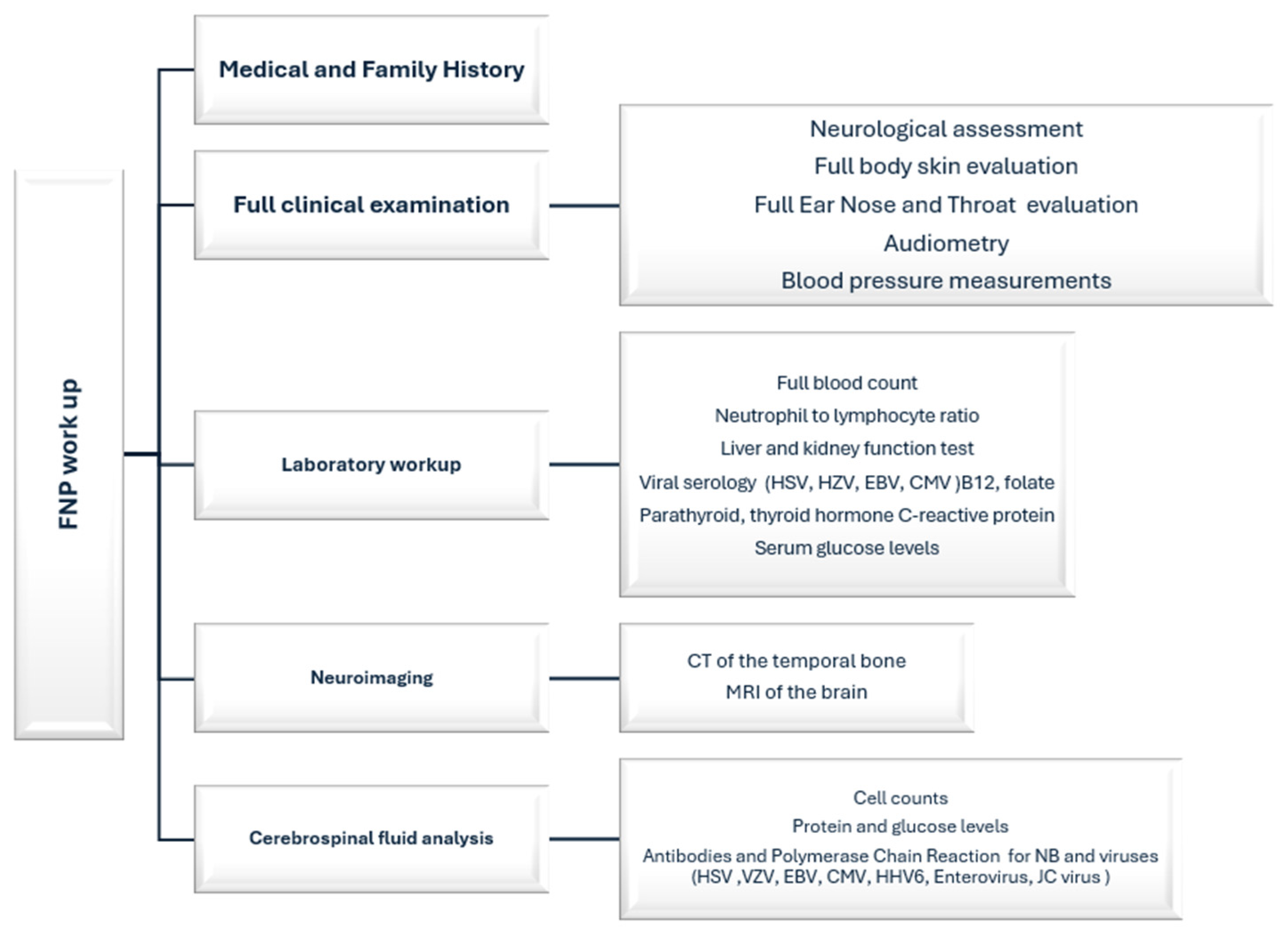 Pediatrrep 16 00072 g002