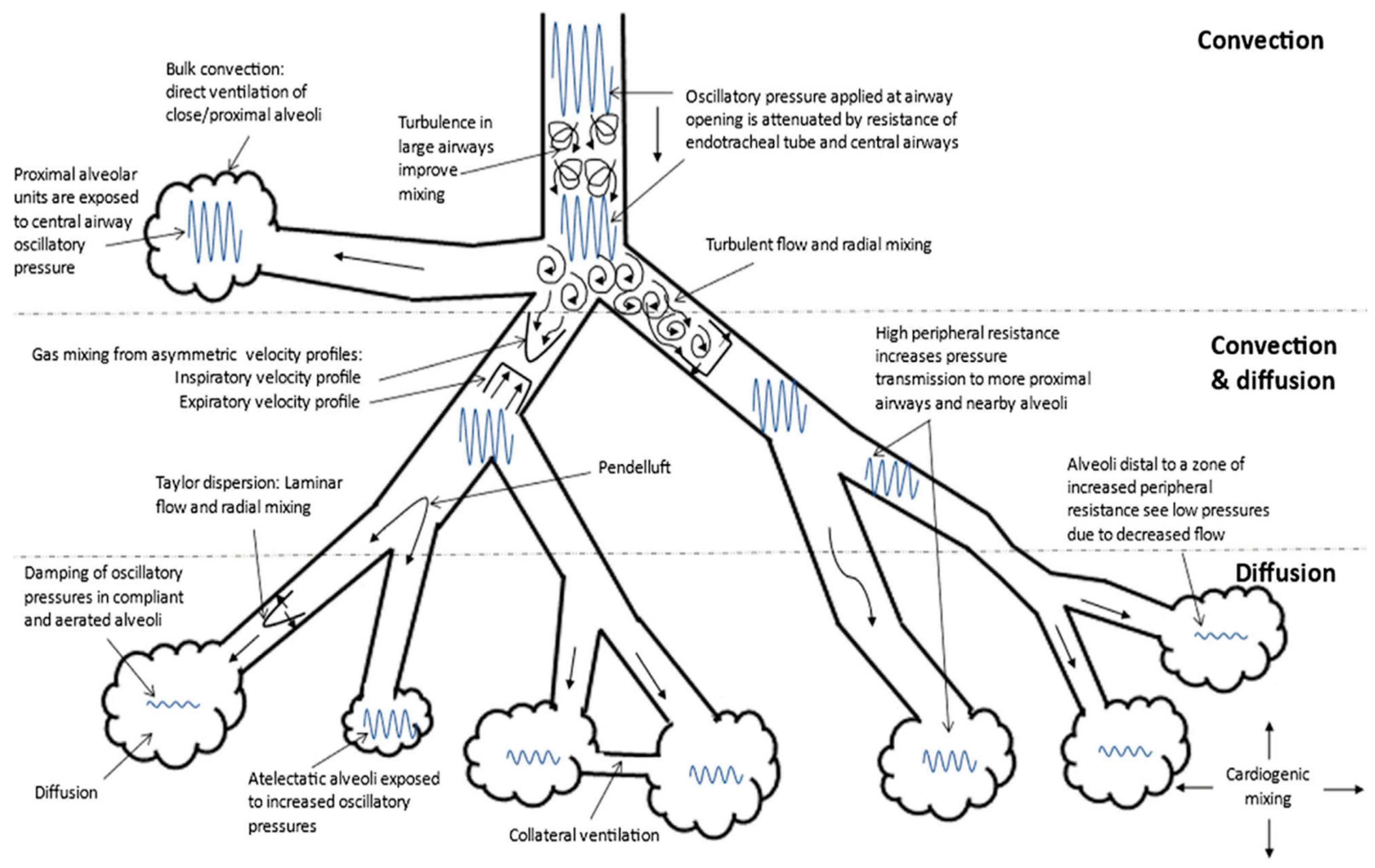 Pediatrrep 16 00079 g001