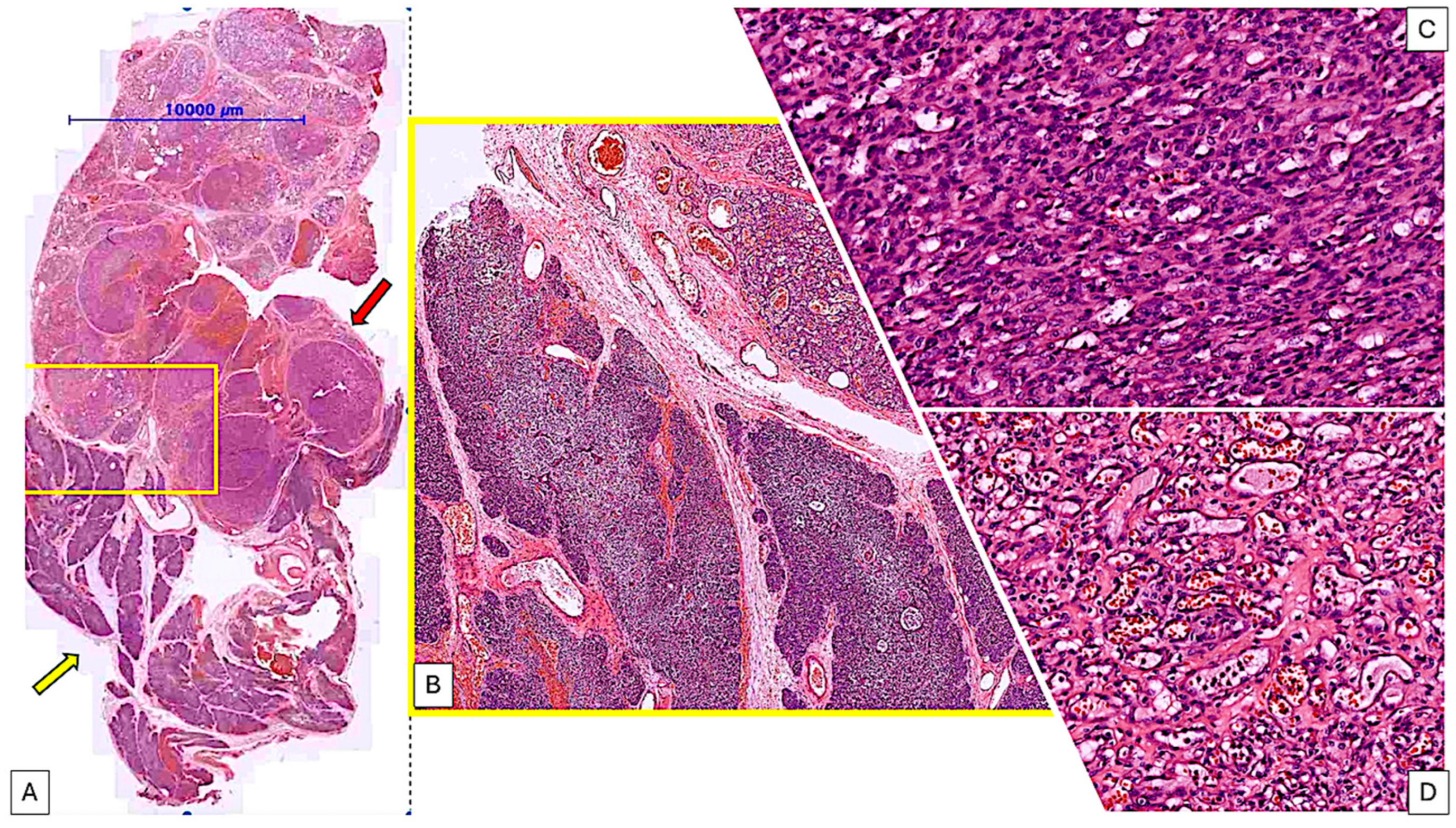 Pediatrrep 17 00013 g003