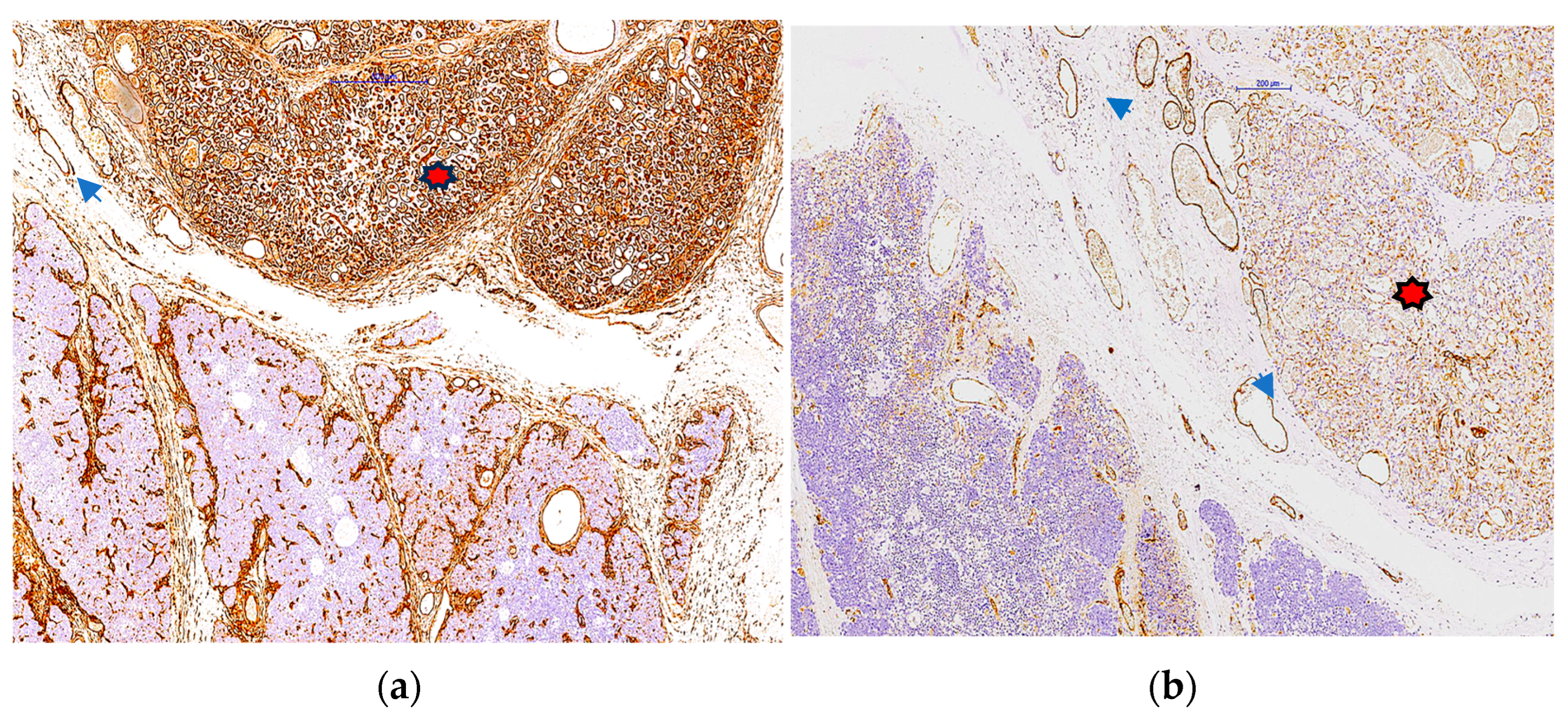 Pediatrrep 17 00013 g005a