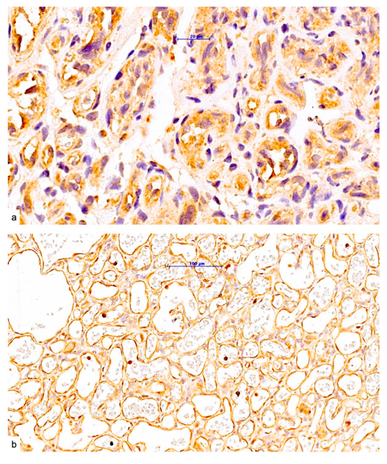 Pediatrrep 17 00013 g006