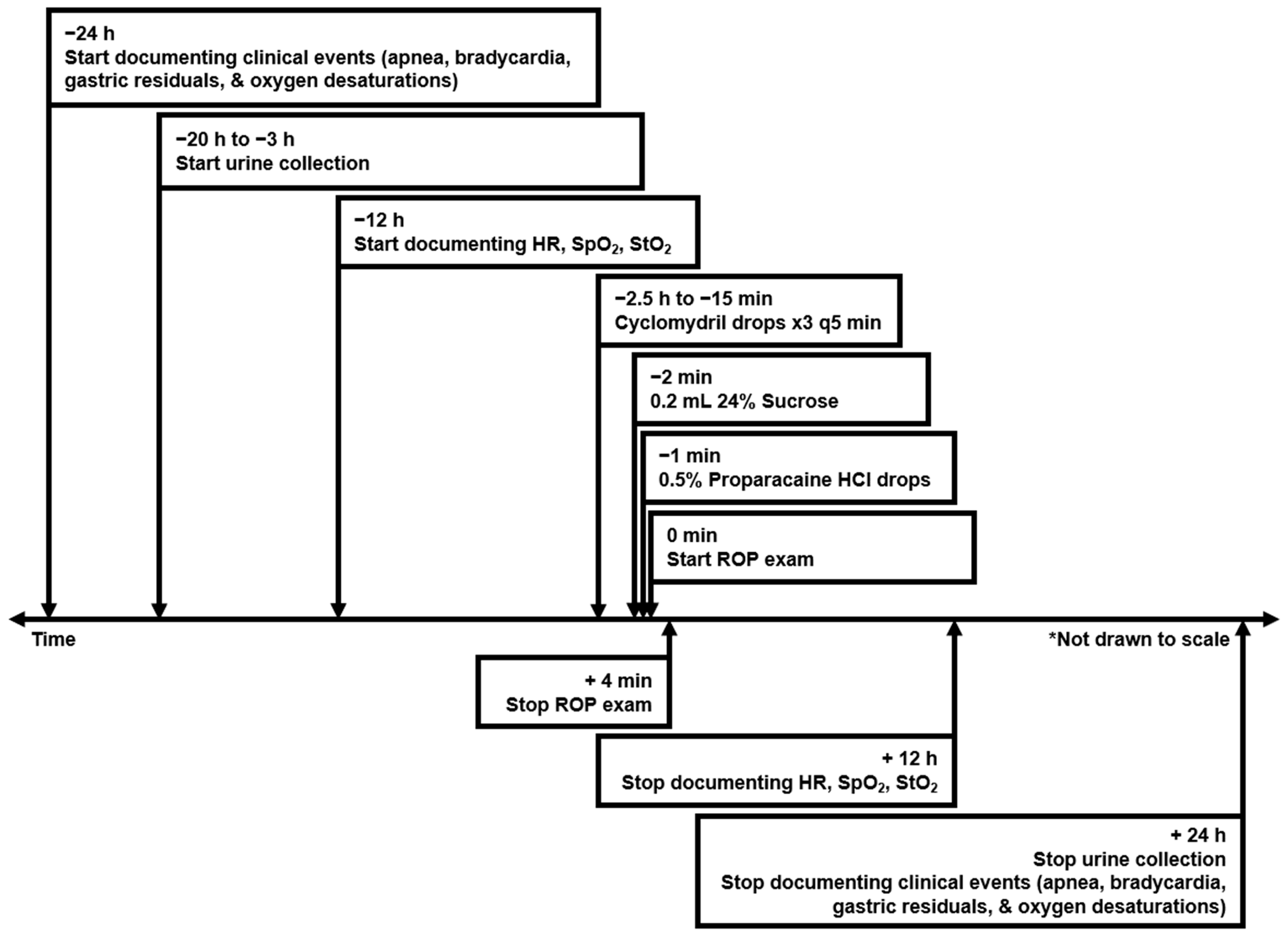 Pediatrrep 17 00029 g002
