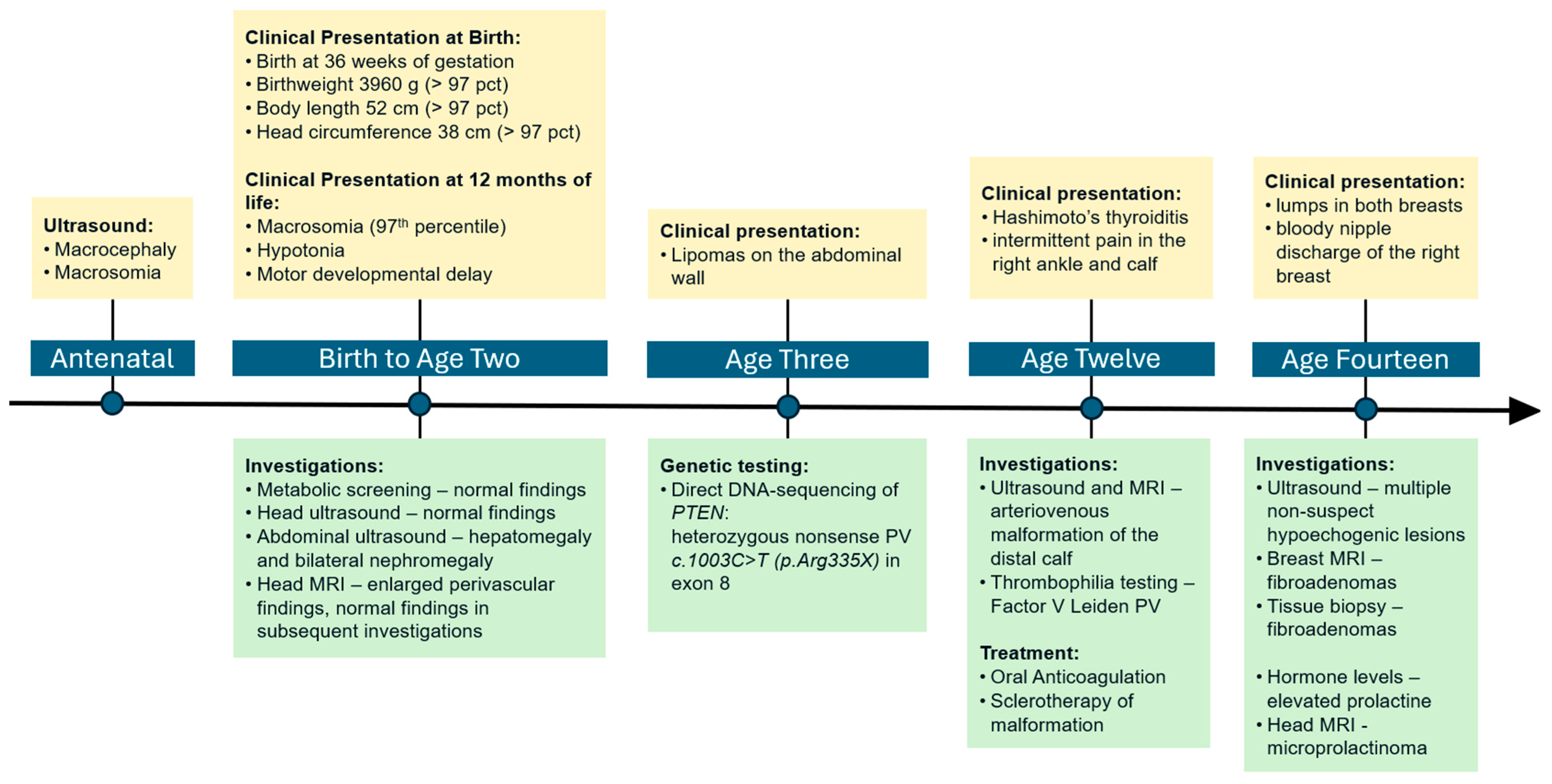 Pediatrrep 17 00054 g001