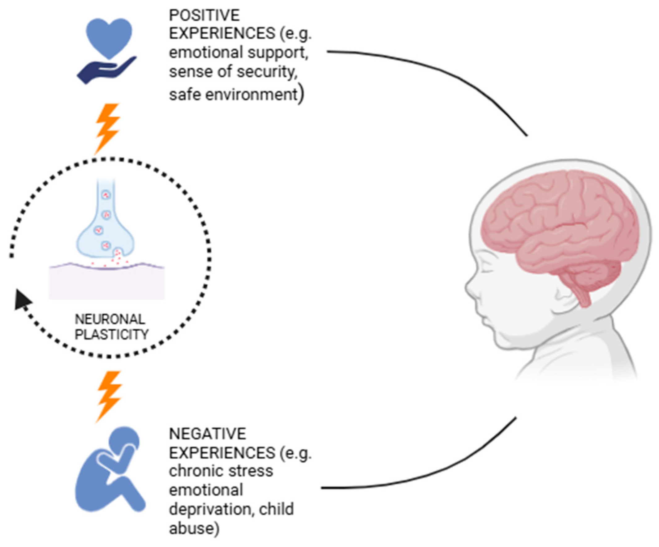 Pediatrrep 17 00065 g002