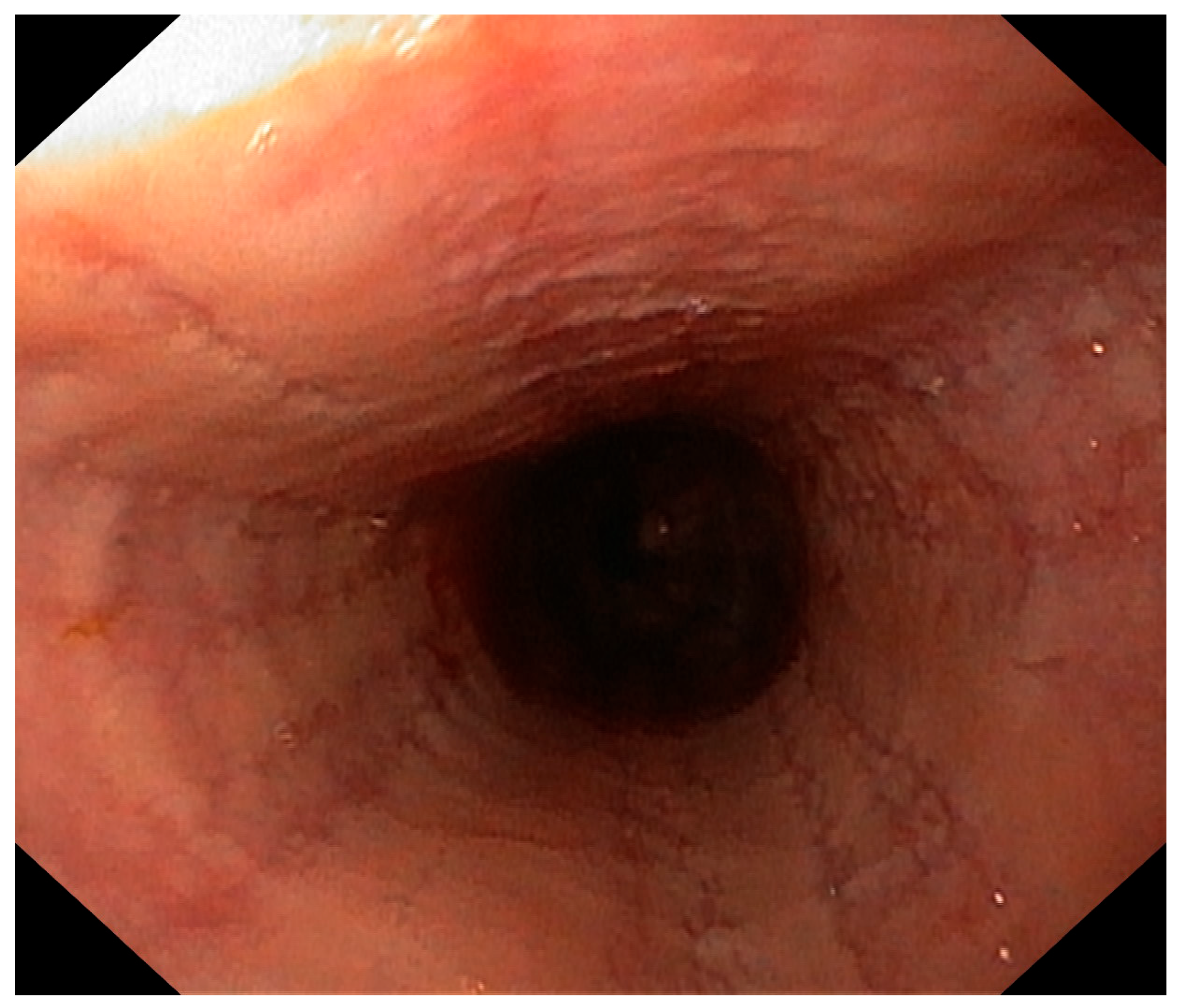 Pediatrrep 17 00080 g001