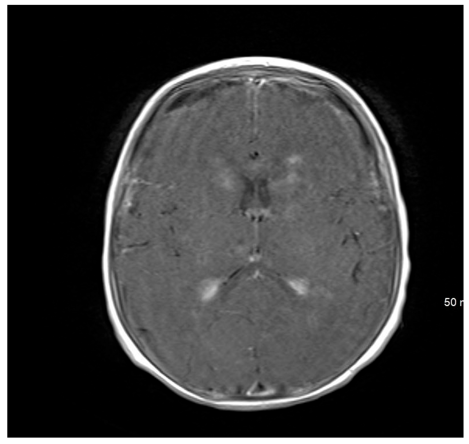 Pediatrrep 17 00094 g002