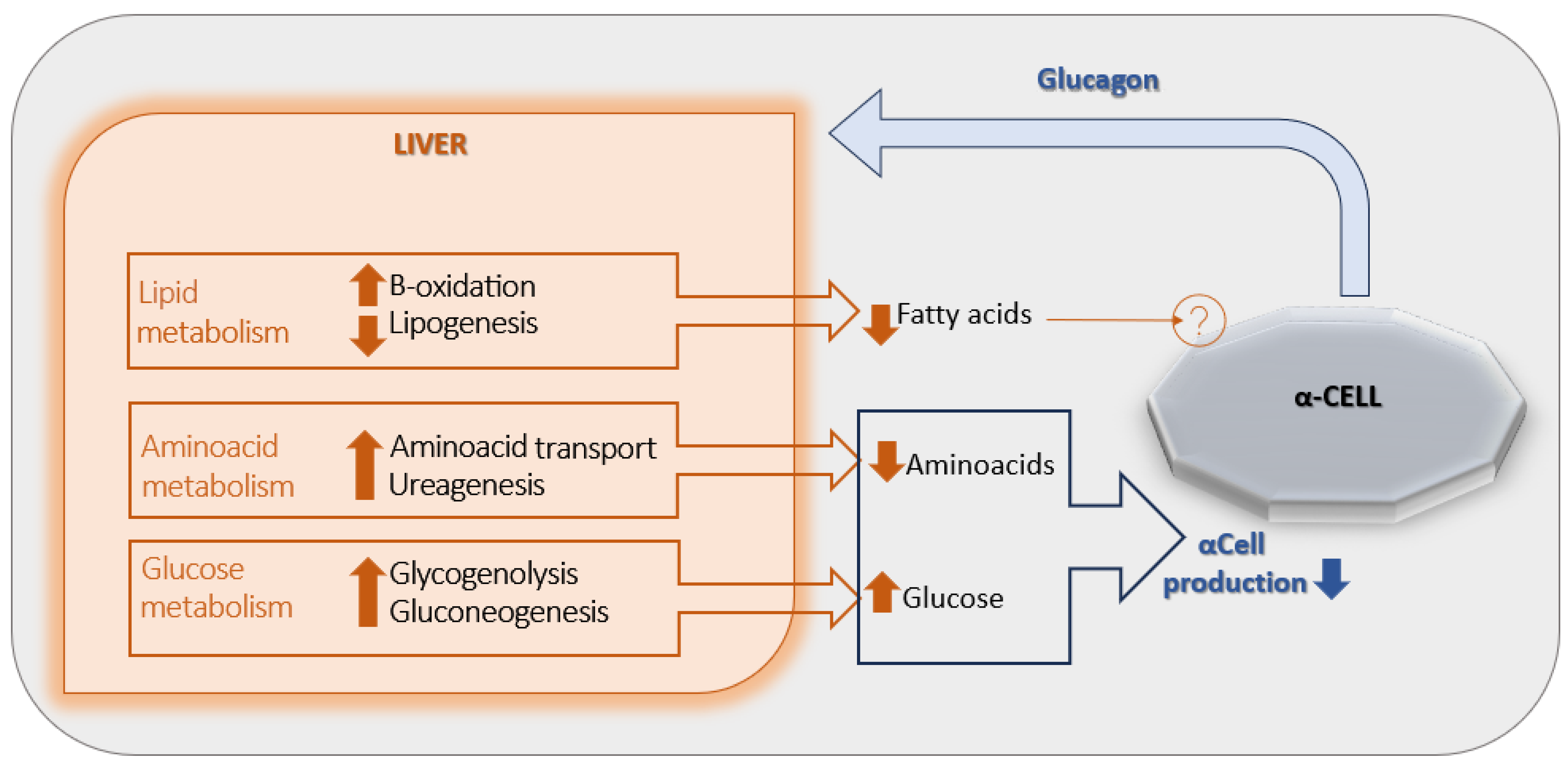 Pediatrrep 17 00104 g001