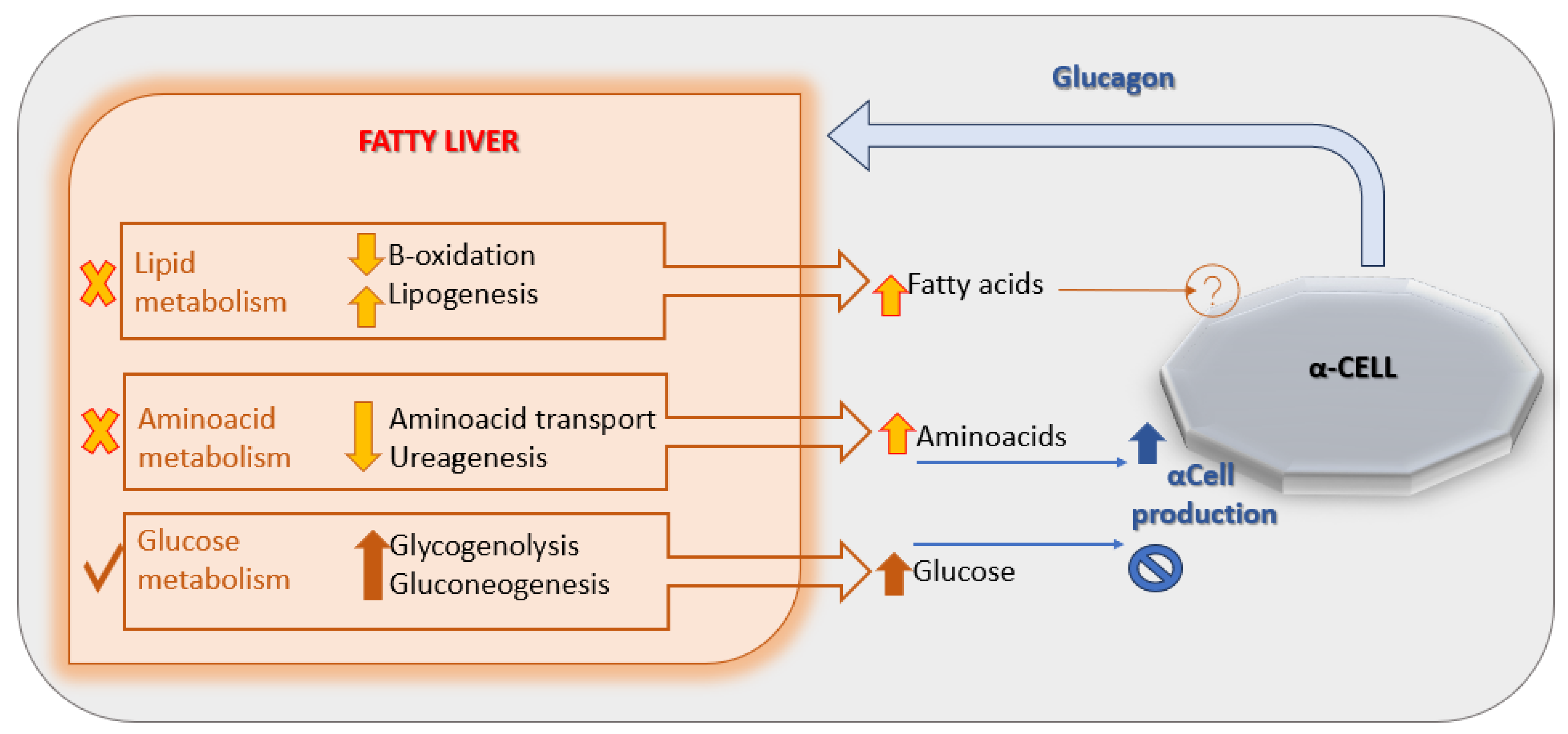 Pediatrrep 17 00104 g002