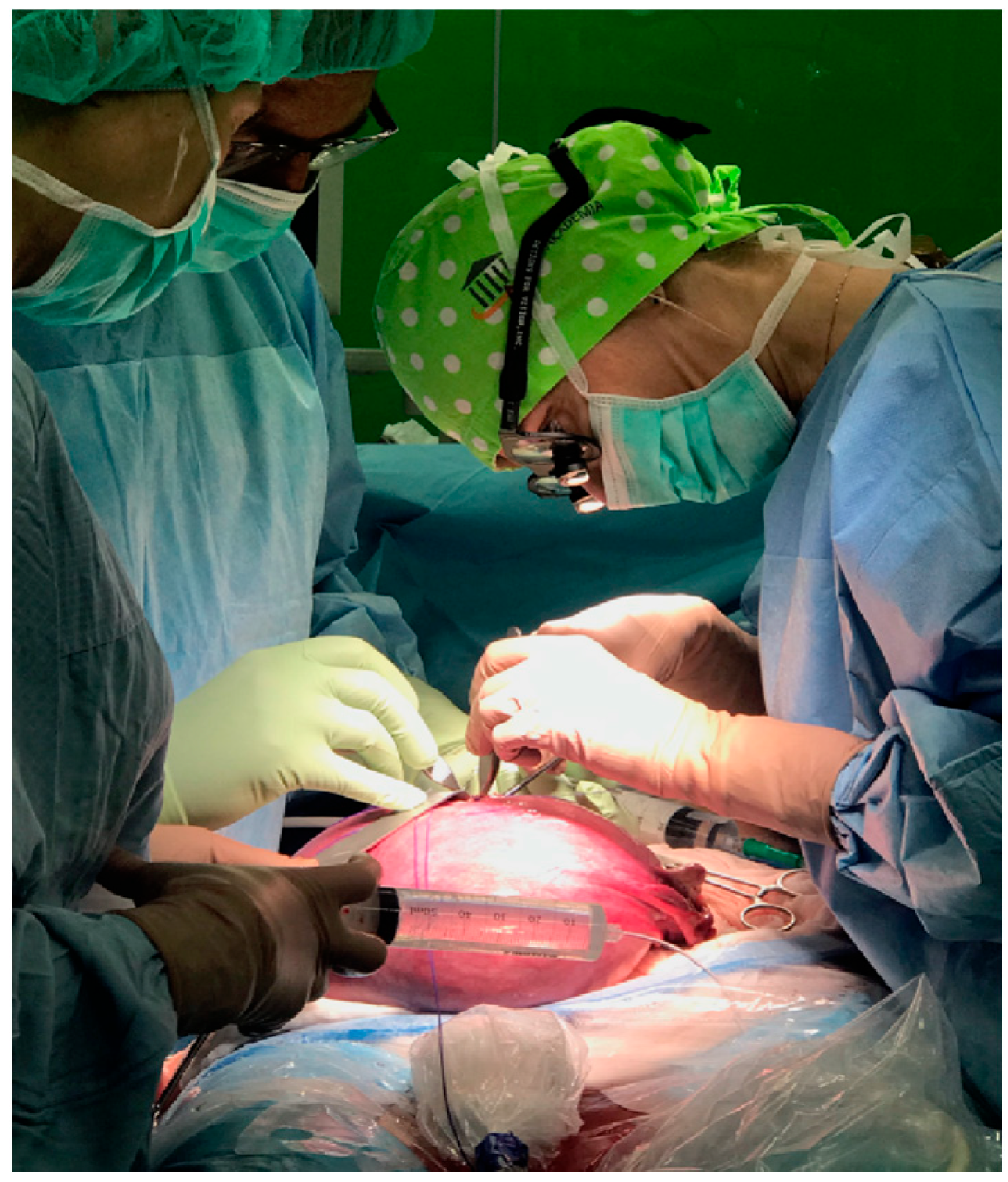 Pediatrrep 17 00111 g002