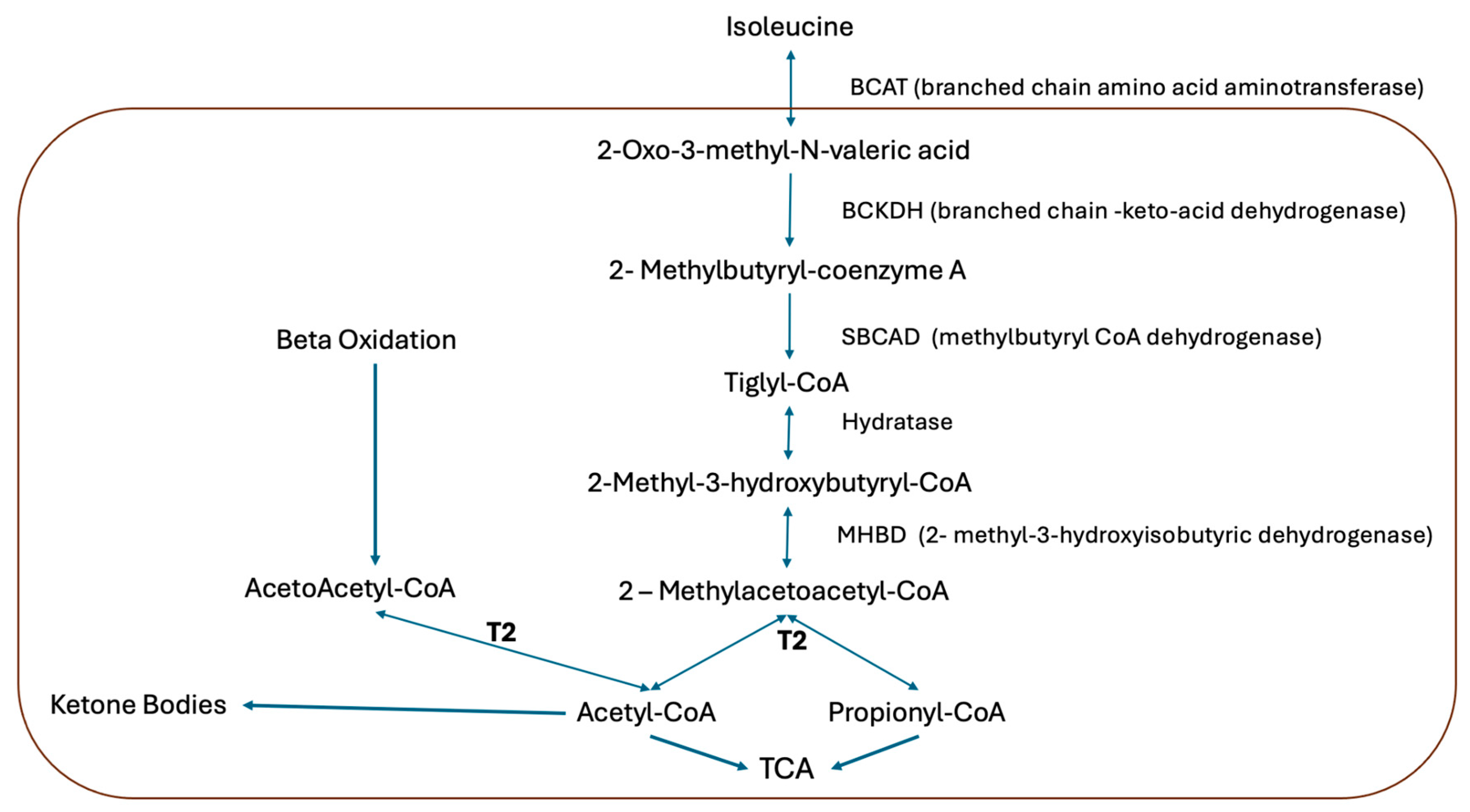 Pediatrrep 17 00113 g001