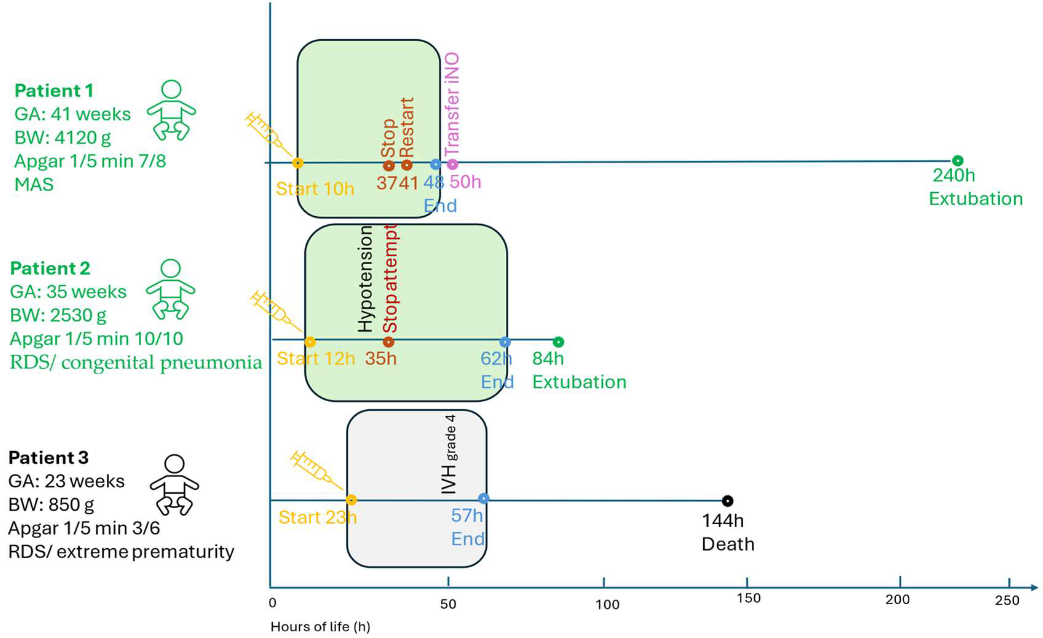 Pediatrrep 17 00116 g001 Pediatrrep 17 00116 g001