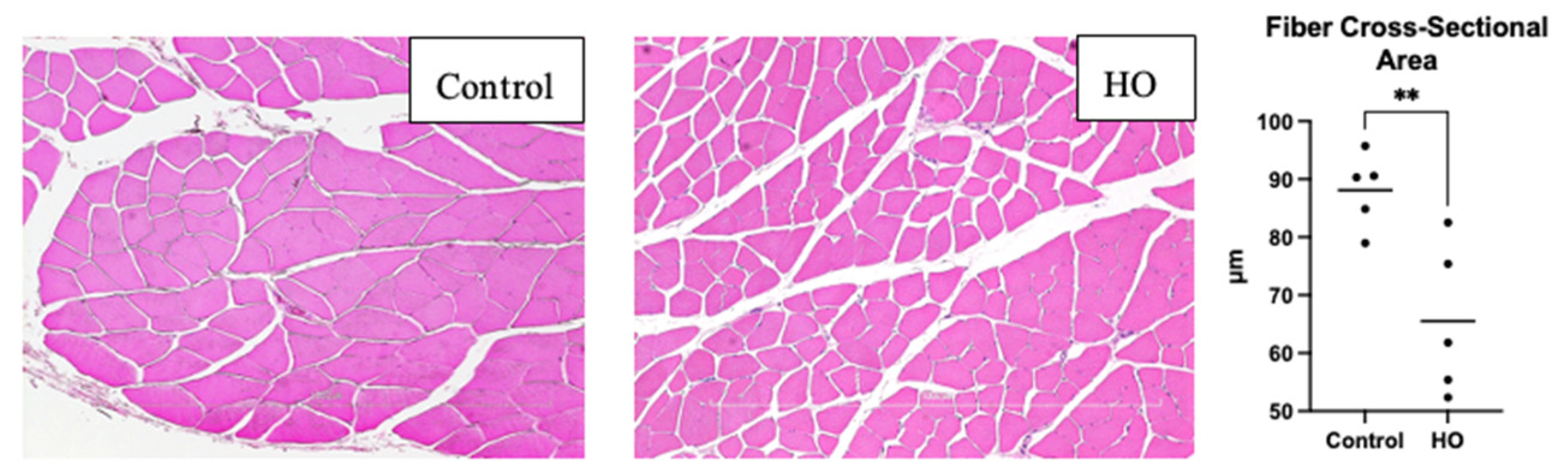 Pediatrrep 17 00125 g003