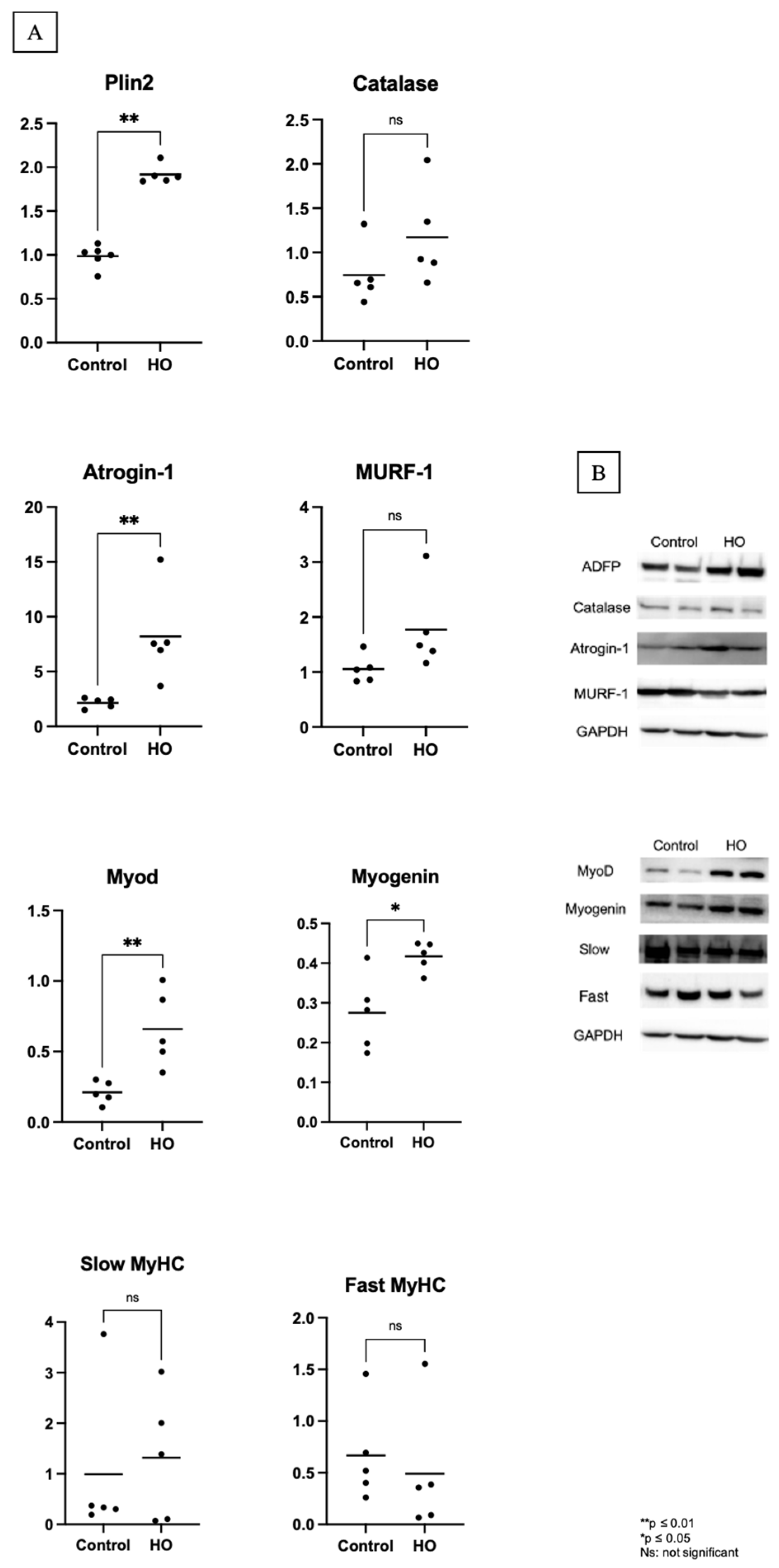 Pediatrrep 17 00125 g004