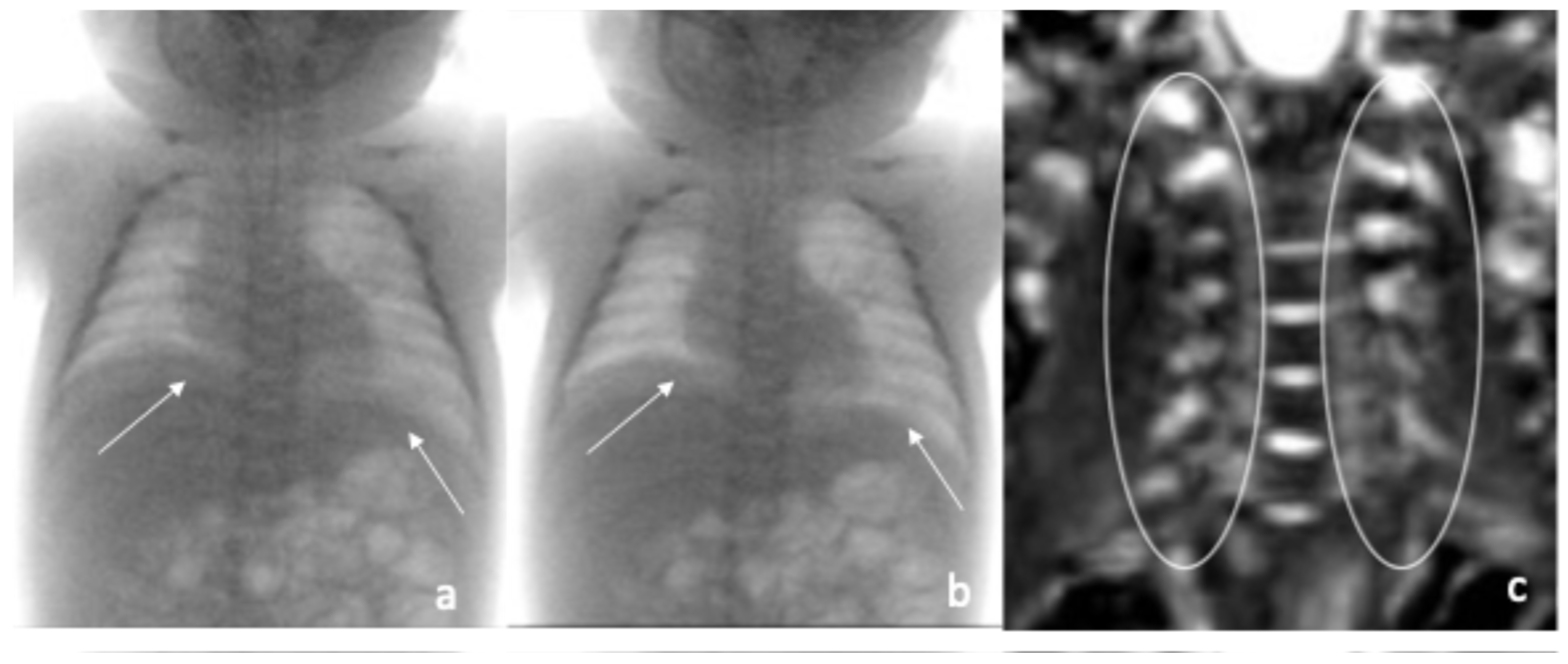 Pediatrrep 17 00127 g002