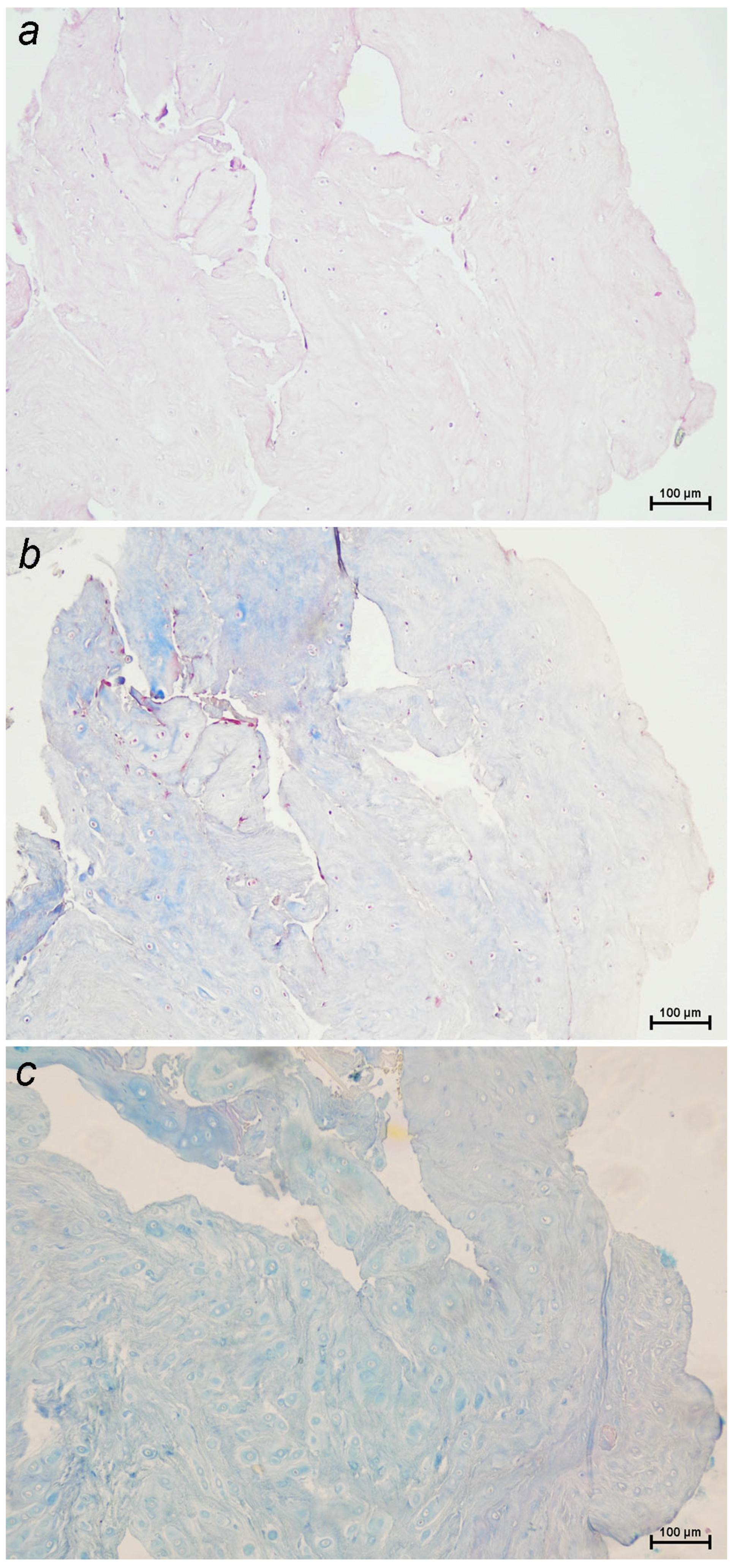 Pets 02 00026 g001 Pets 02 00026 g001