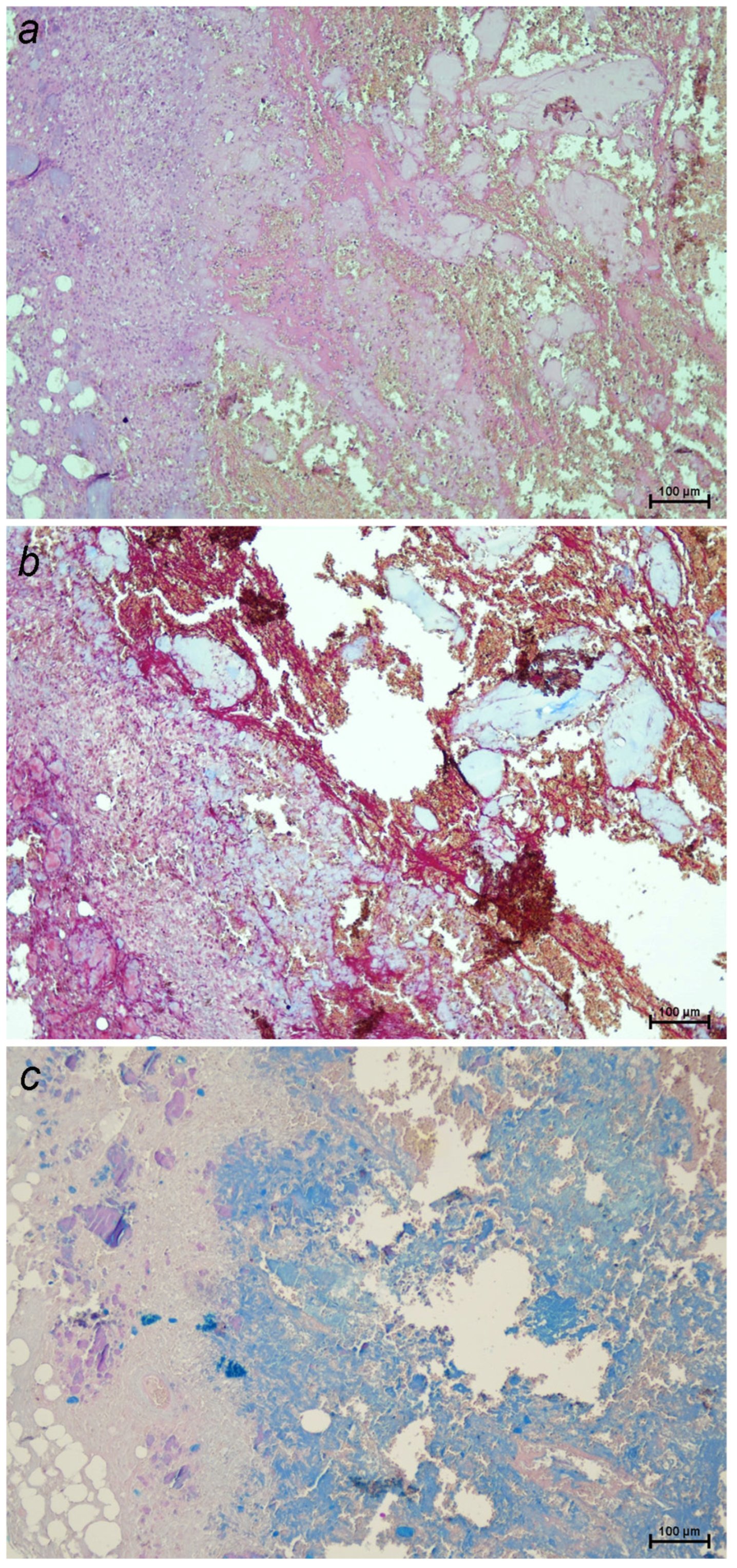 Pets 02 00026 g002 Pets 02 00026 g002