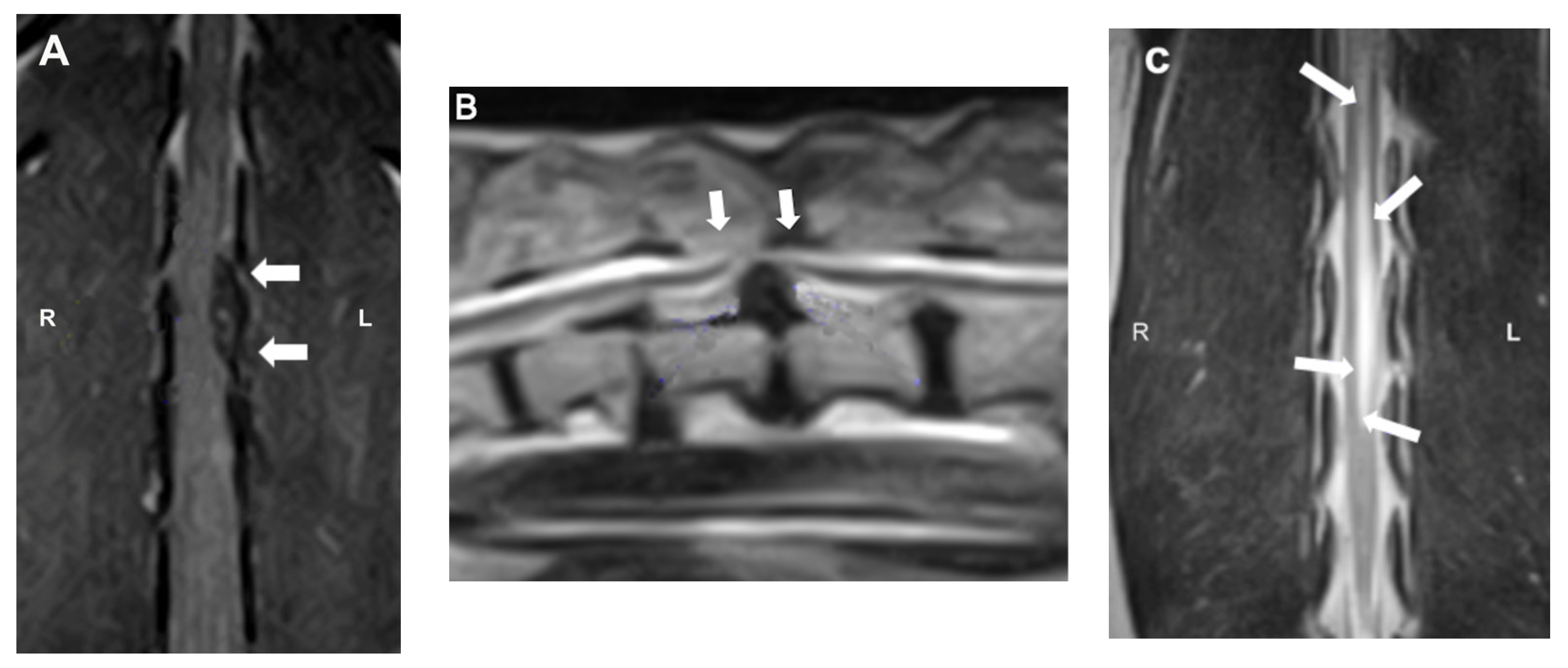 Pets 02 00026 g005 Pets 02 00026 g005