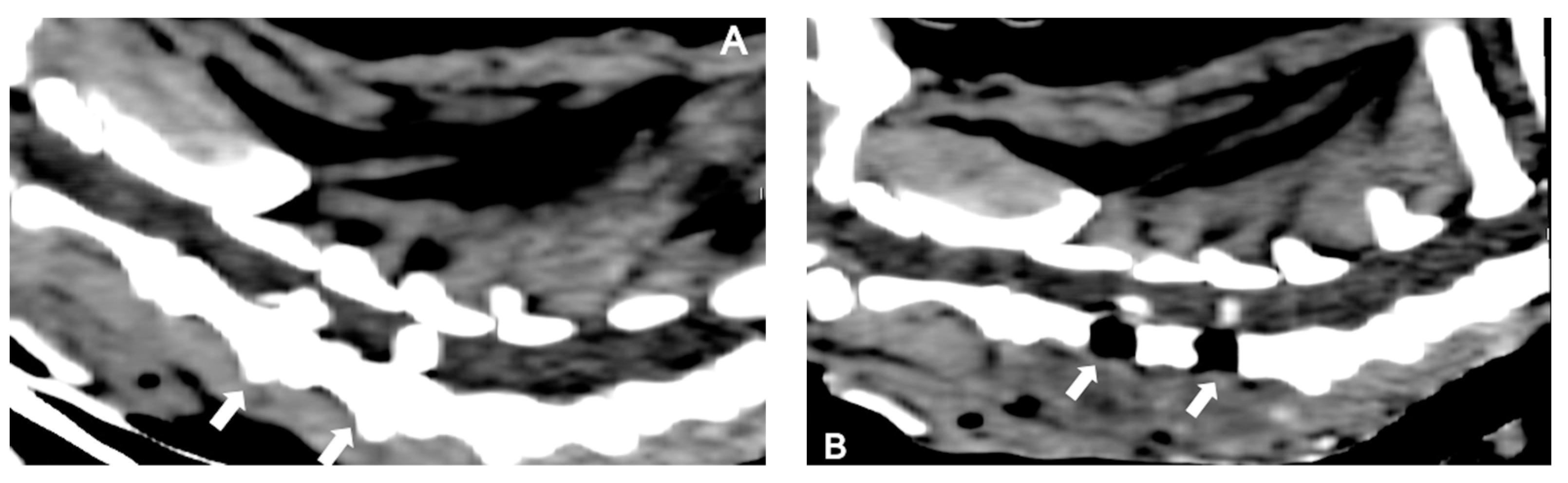 Pets 02 00026 g006 Pets 02 00026 g006