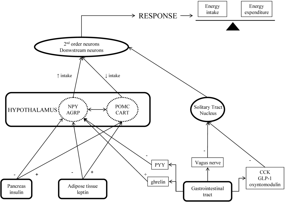 Pharmaceuticals 03 00125 g005