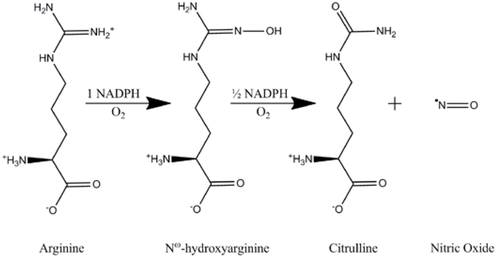 Pharmaceuticals 03 00273 g001