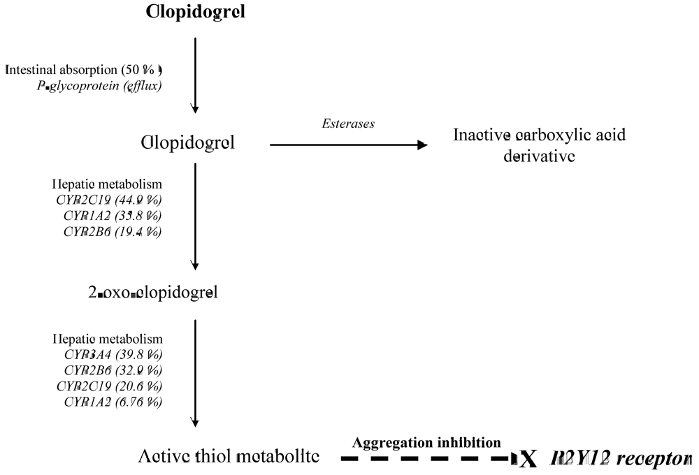 Pharmaceuticals 03 00782 g001 1024