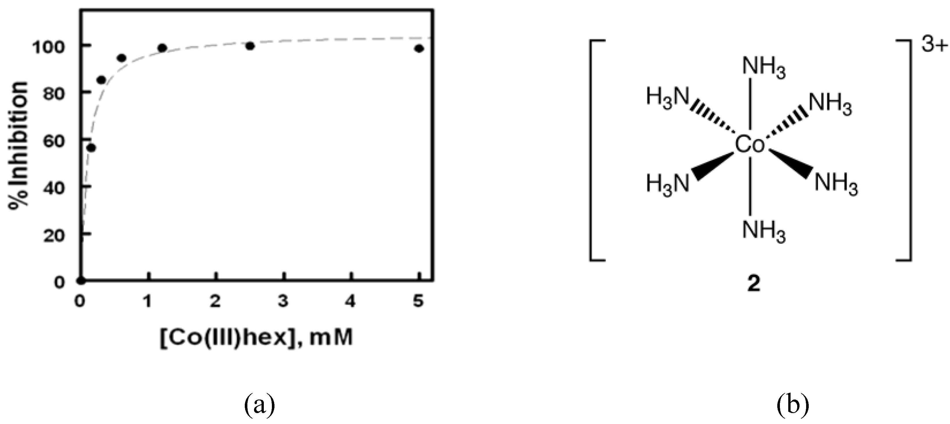 Pharmaceuticals 03 01711 g003 1024