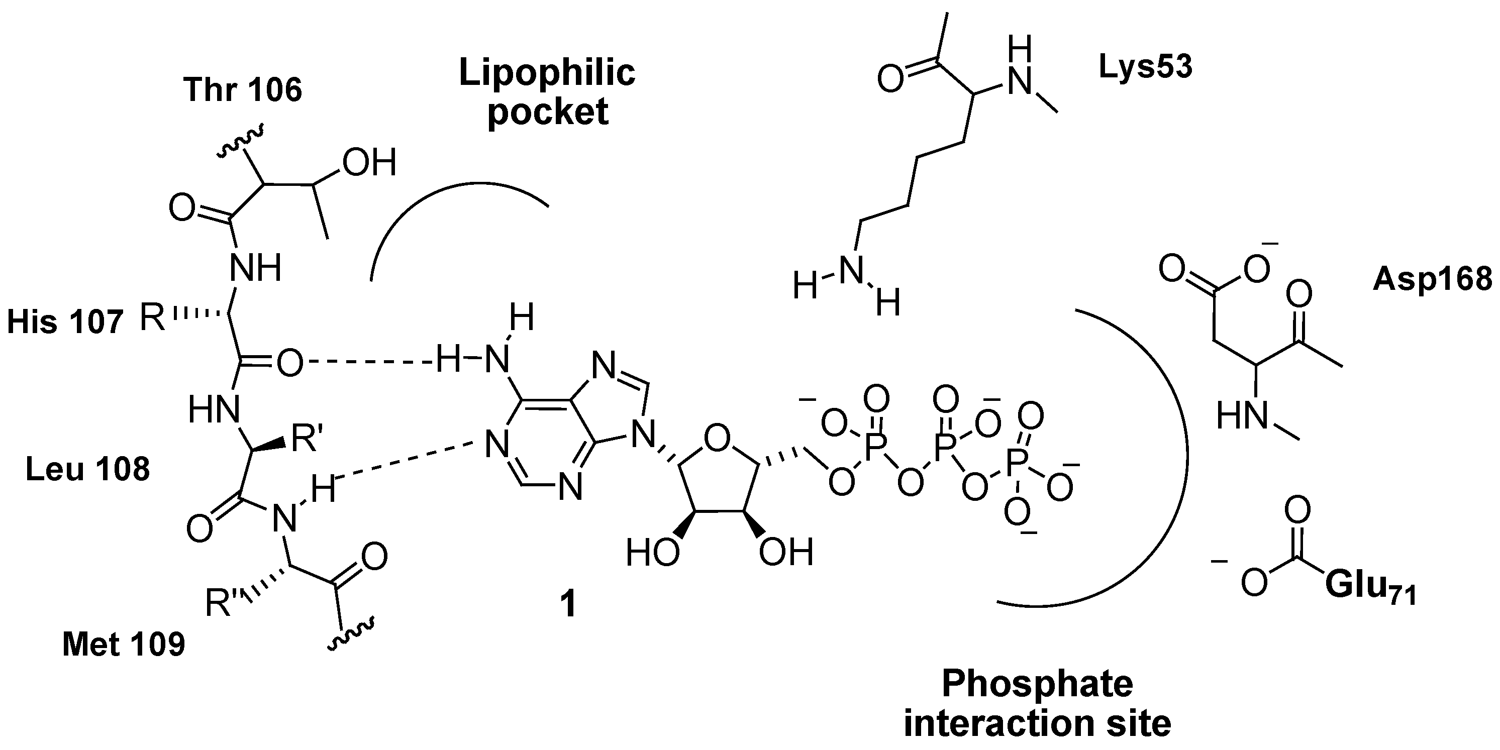 Pharmaceuticals 03 01842 g005