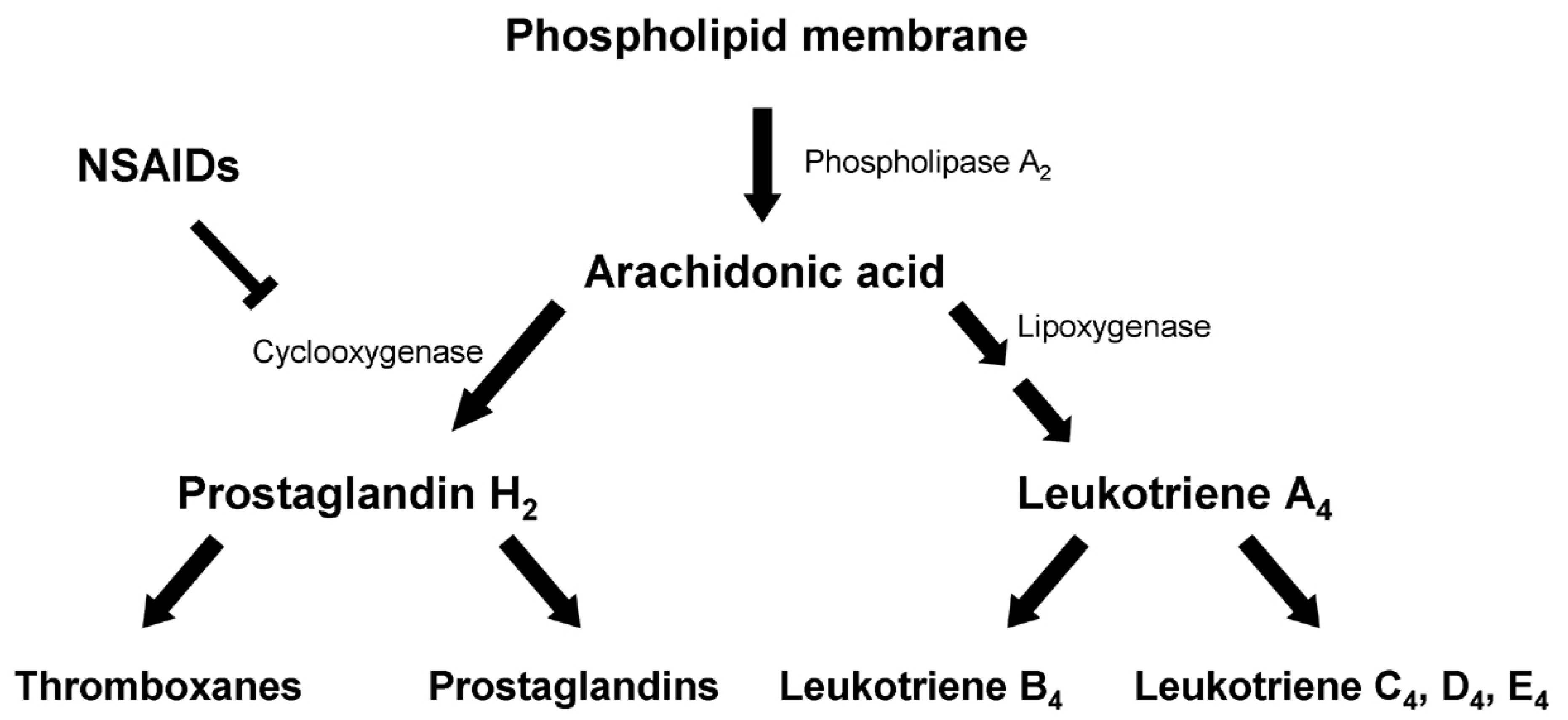 Pharmaceuticals Free Full Text Nsaids In The Acute Treatment