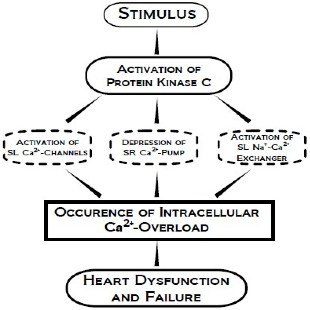 Pharmaceuticals Free FullText Protein Kinases as Drug Development