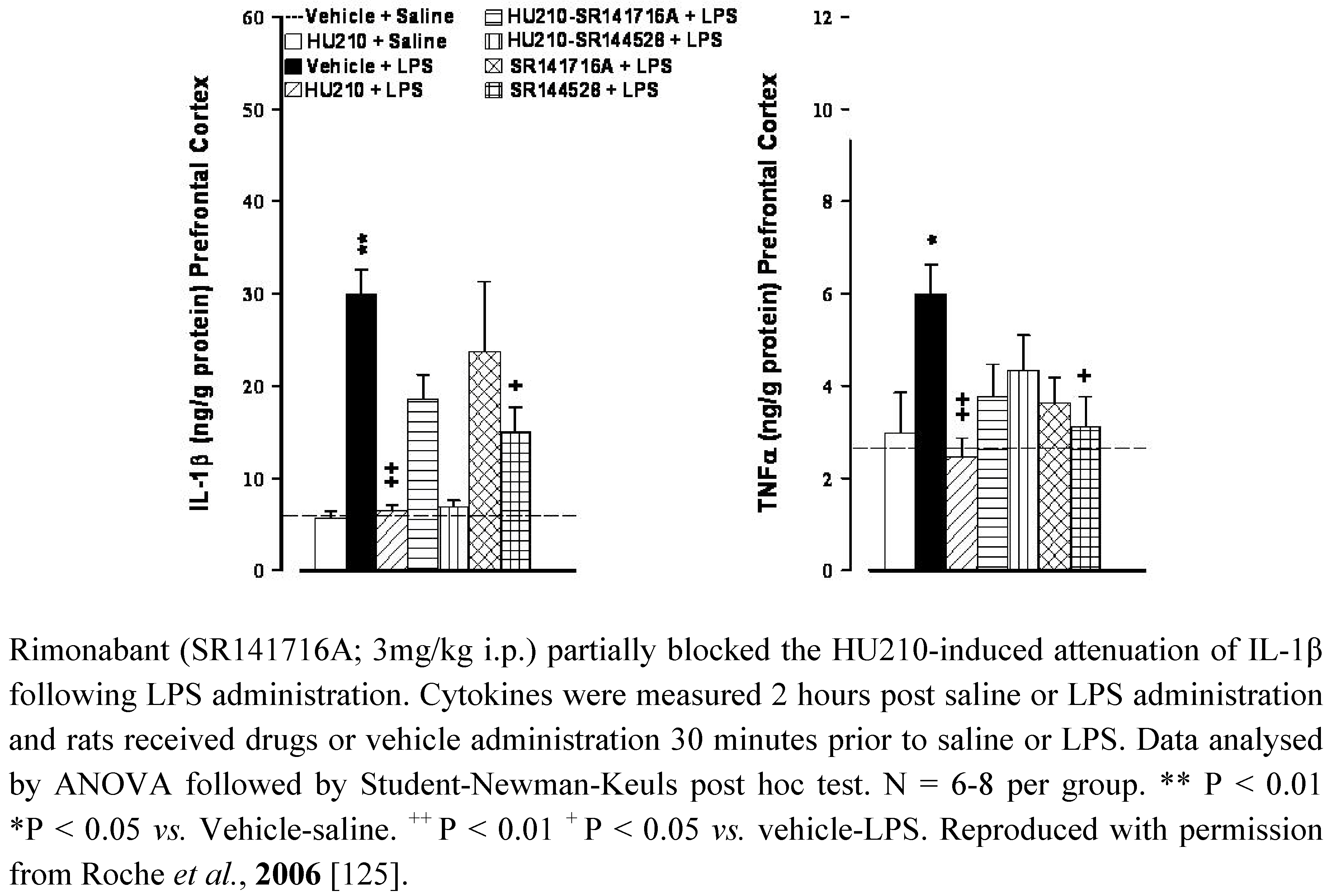 Brain CB2 Receptors: Implications for Neuropsychiatric Disorders