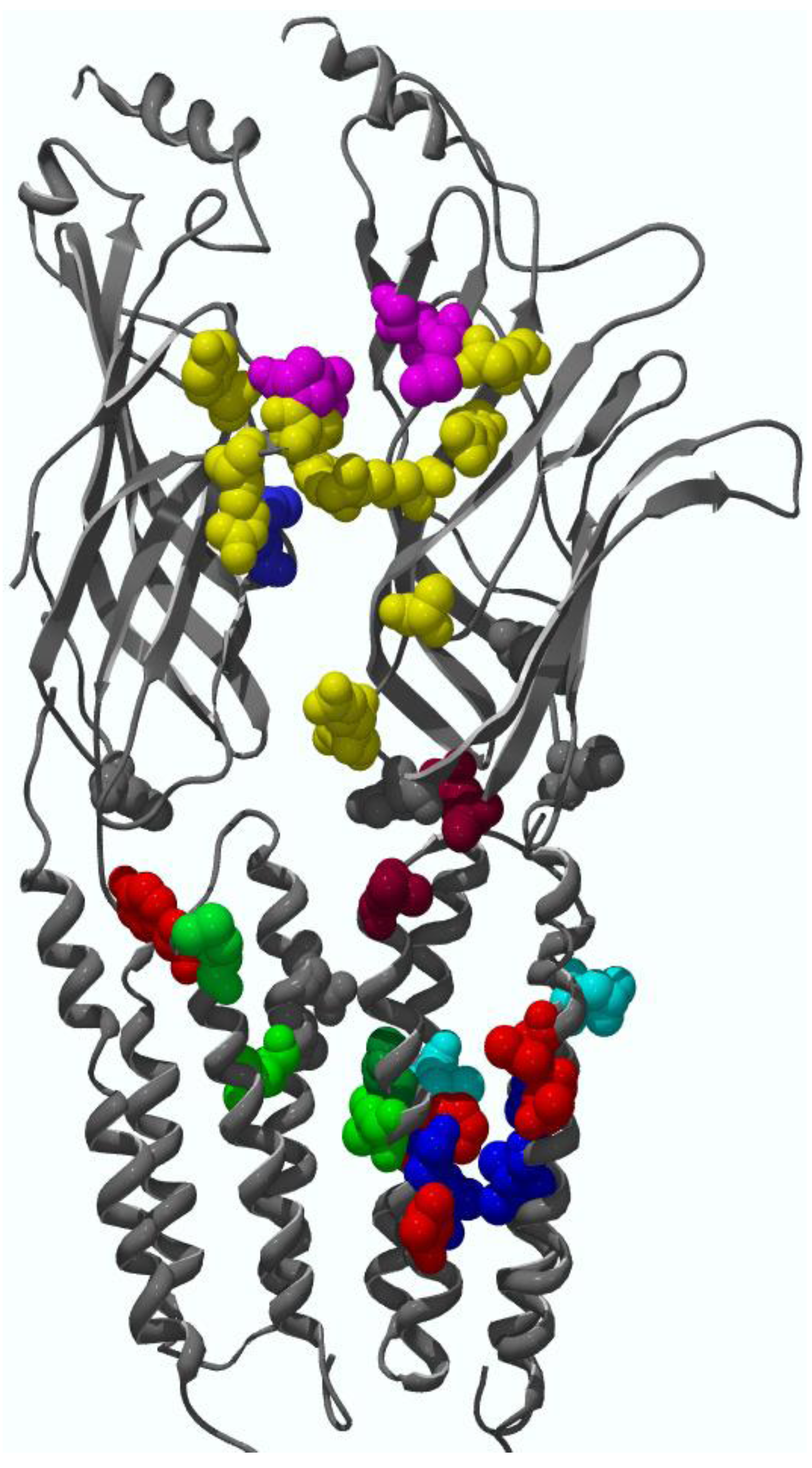 Pharmaceuticals 03 02592 g004 1024