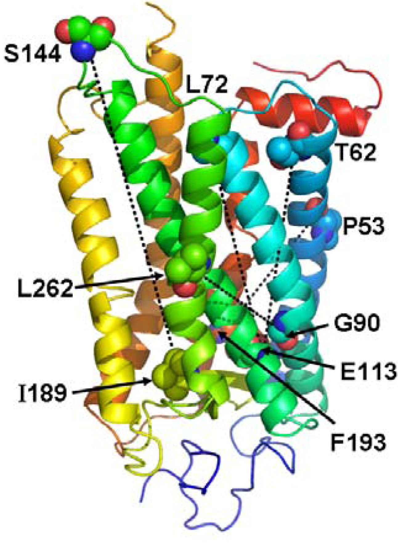Pharmaceuticals 03 03324 g005 1024