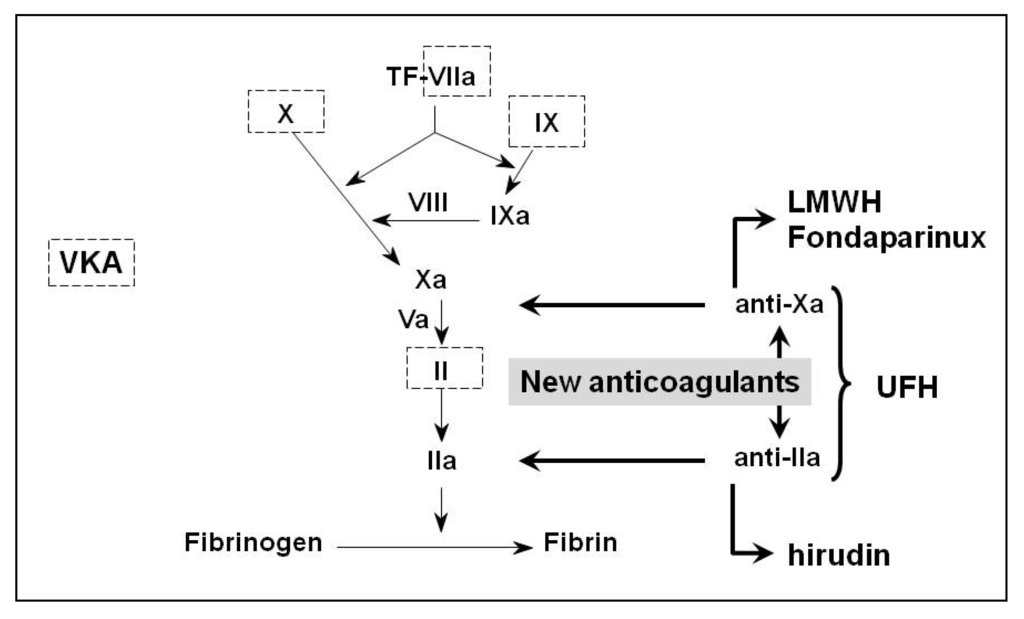 Pharmaceuticals 03 03543 g001 1024