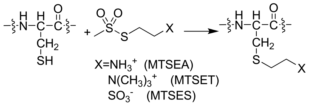 Pharmaceuticals 04 00007f7 1024
