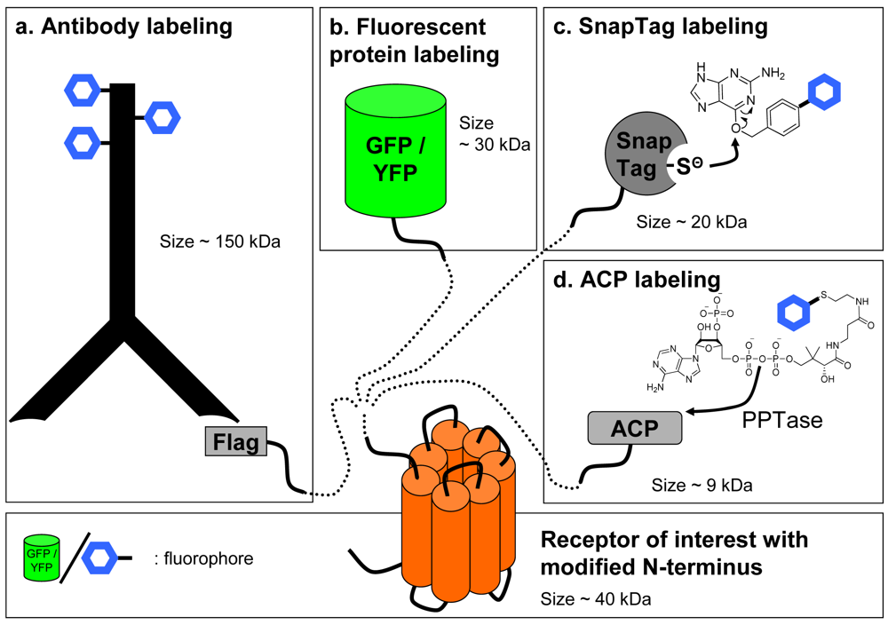 Pharmaceuticals 04 00202f3 1024